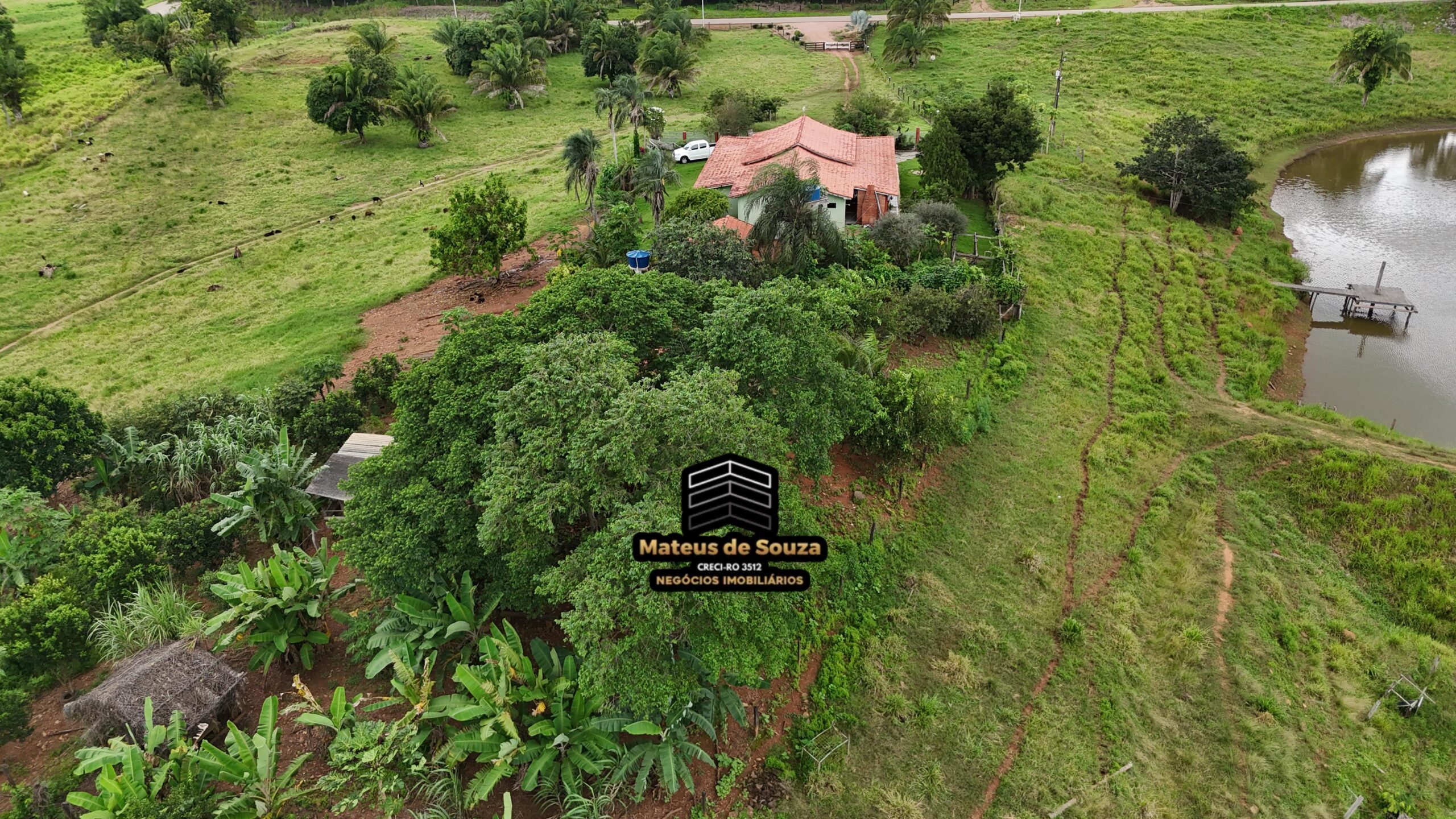 WhatsApp Image 2026-02-21 at 20.49.18