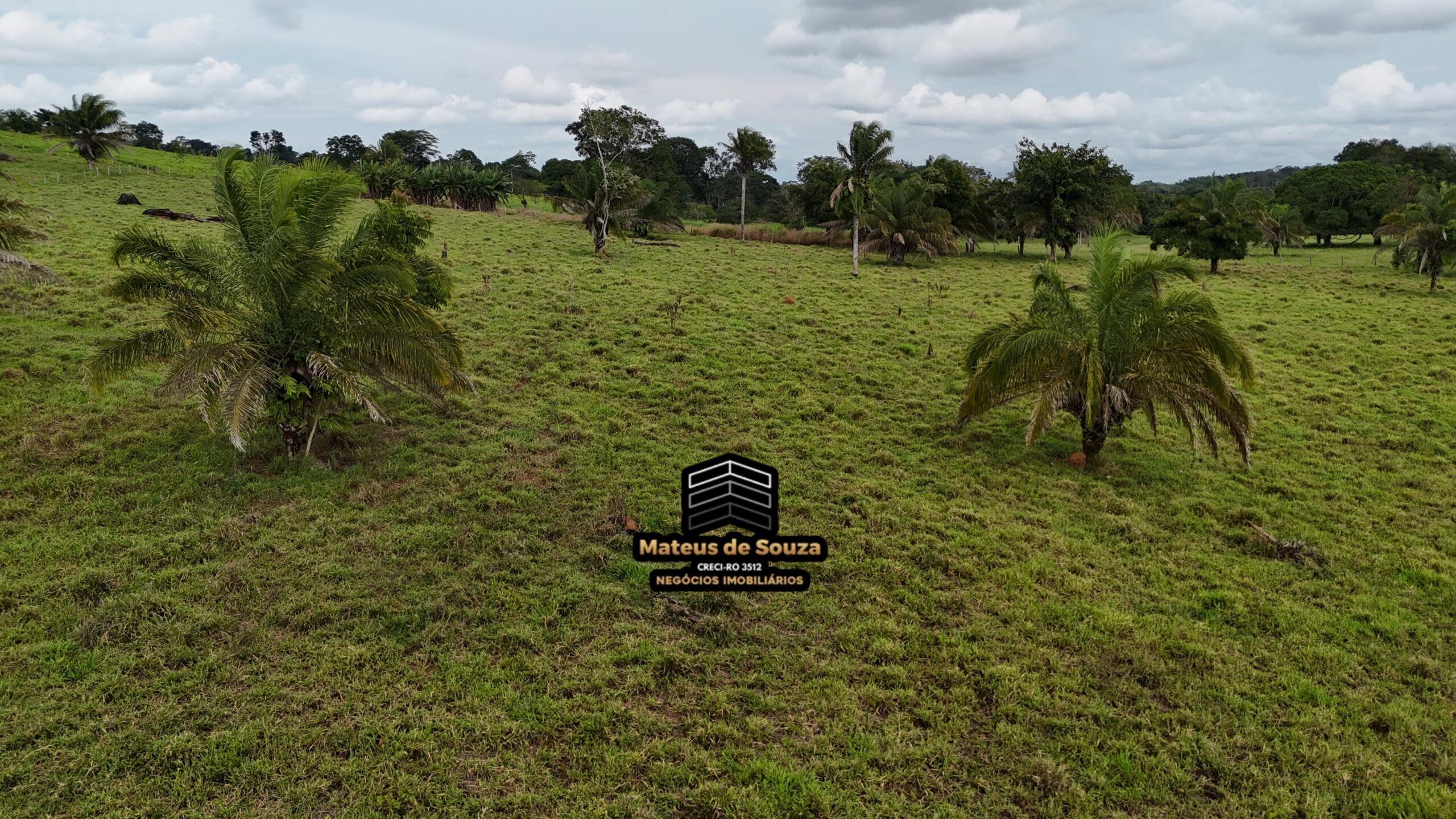 WhatsApp Image 2026-02-21 at 20.49.19