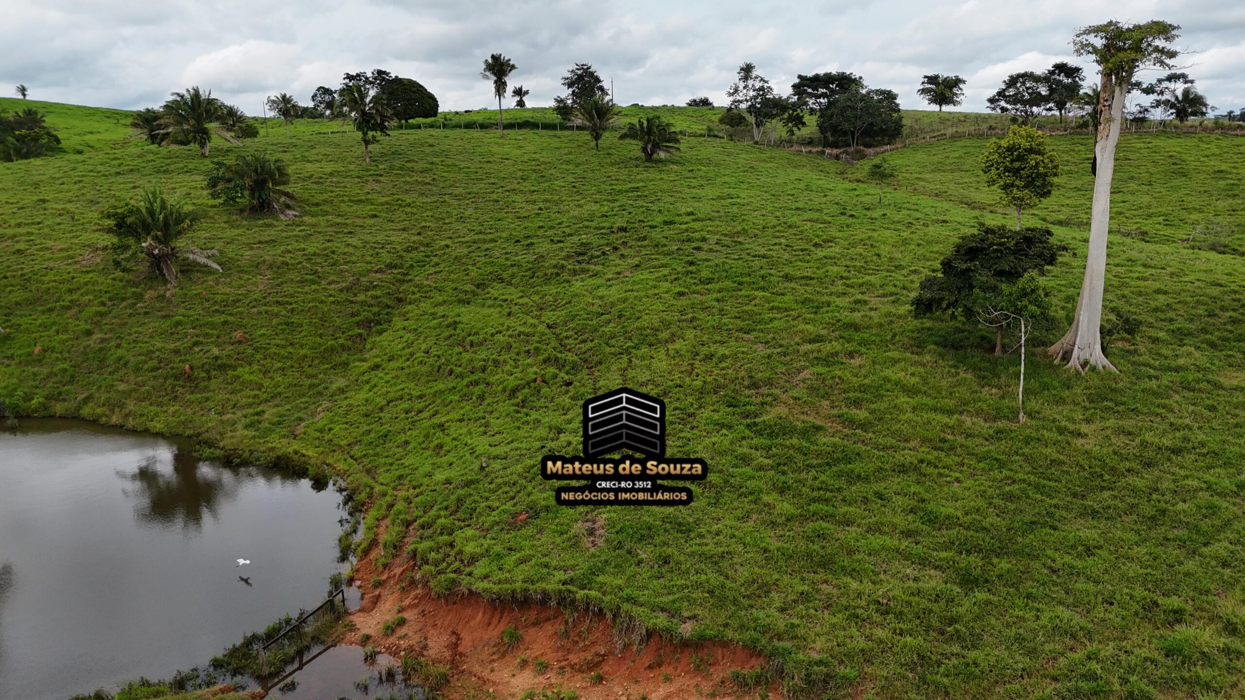 WhatsApp Image 2026-02-21 at 20.49.20 (1)