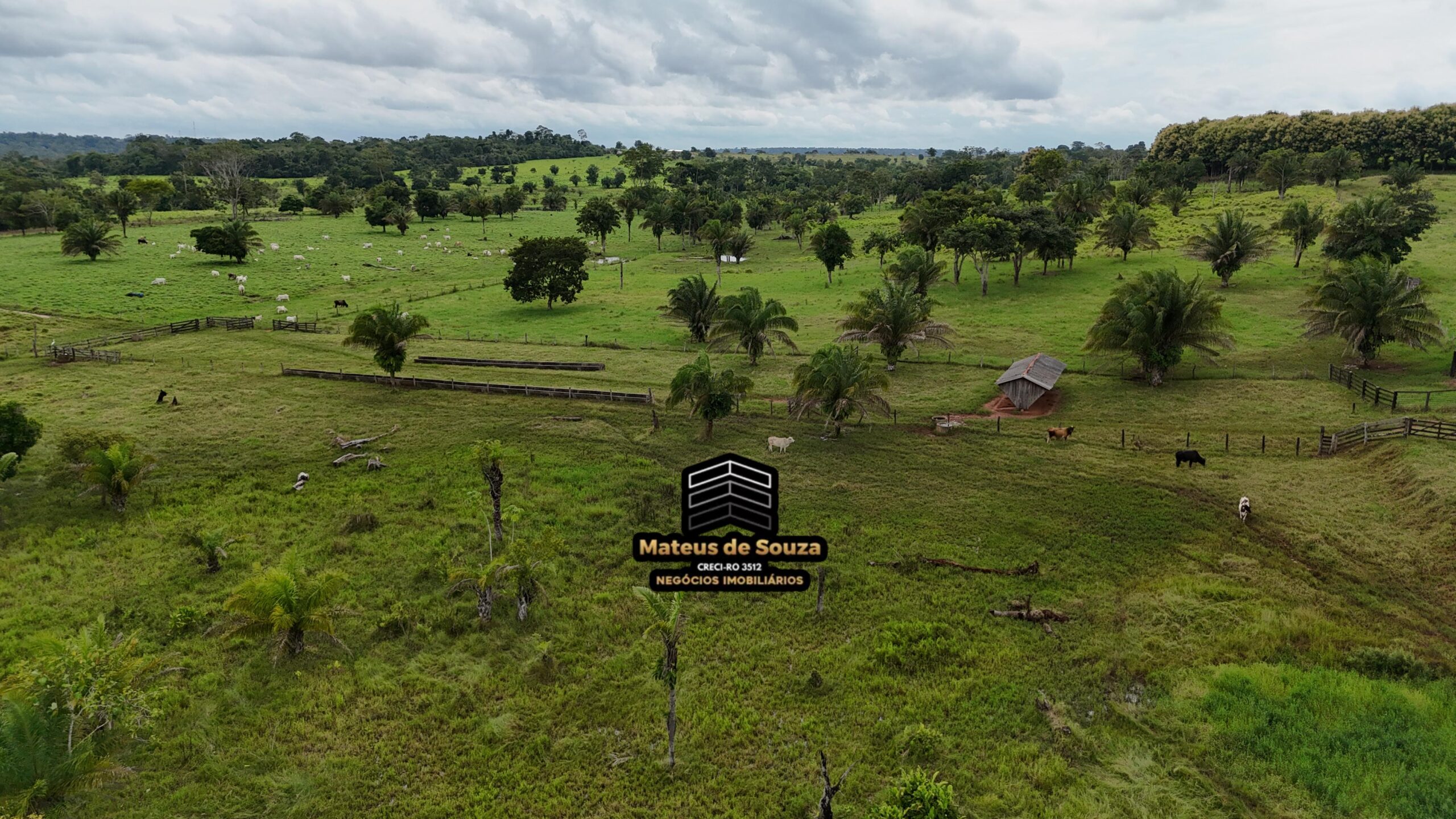 WhatsApp Image 2026-02-21 at 20.49.21