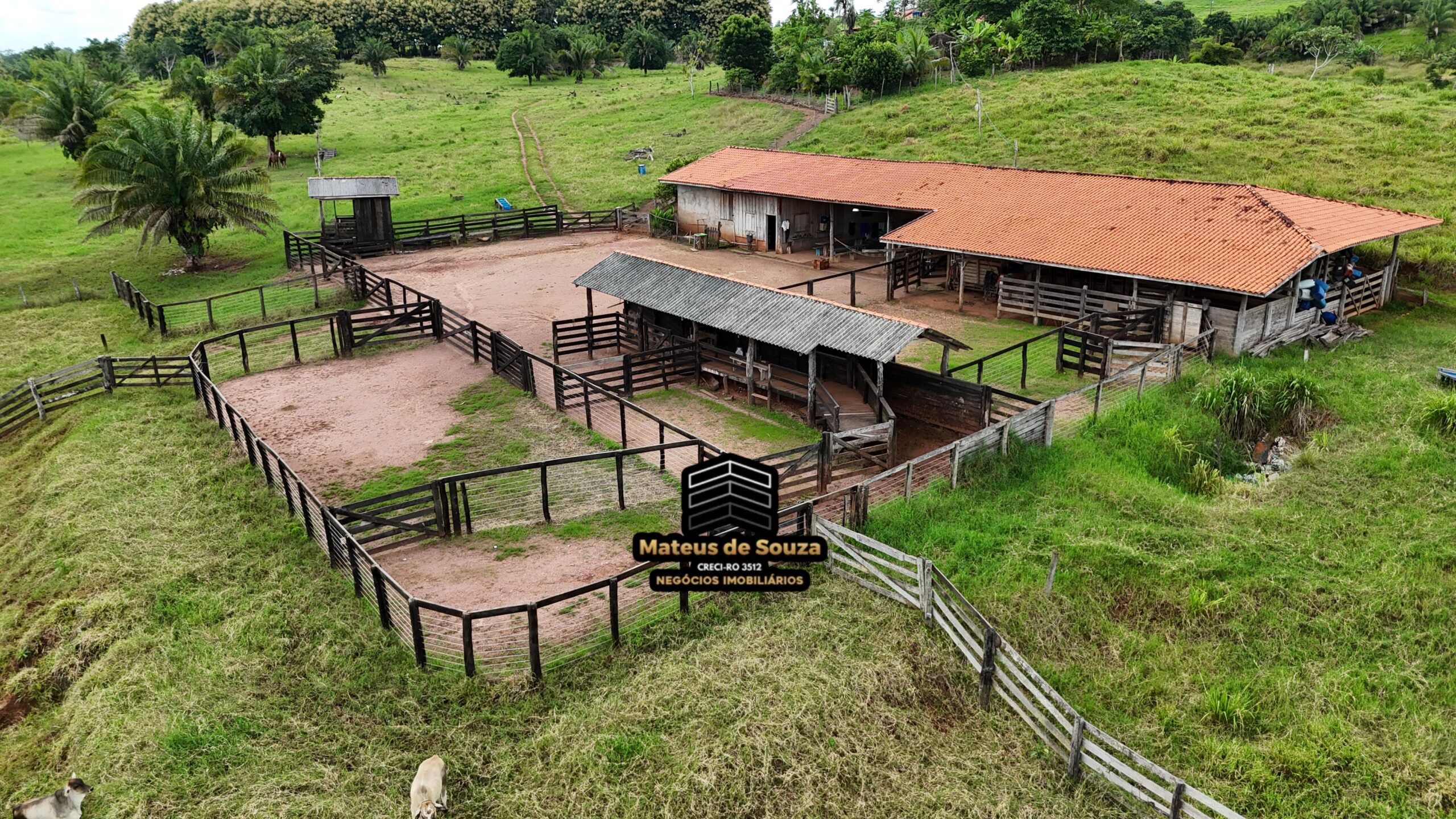 WhatsApp Image 2026-02-21 at 20.49.22