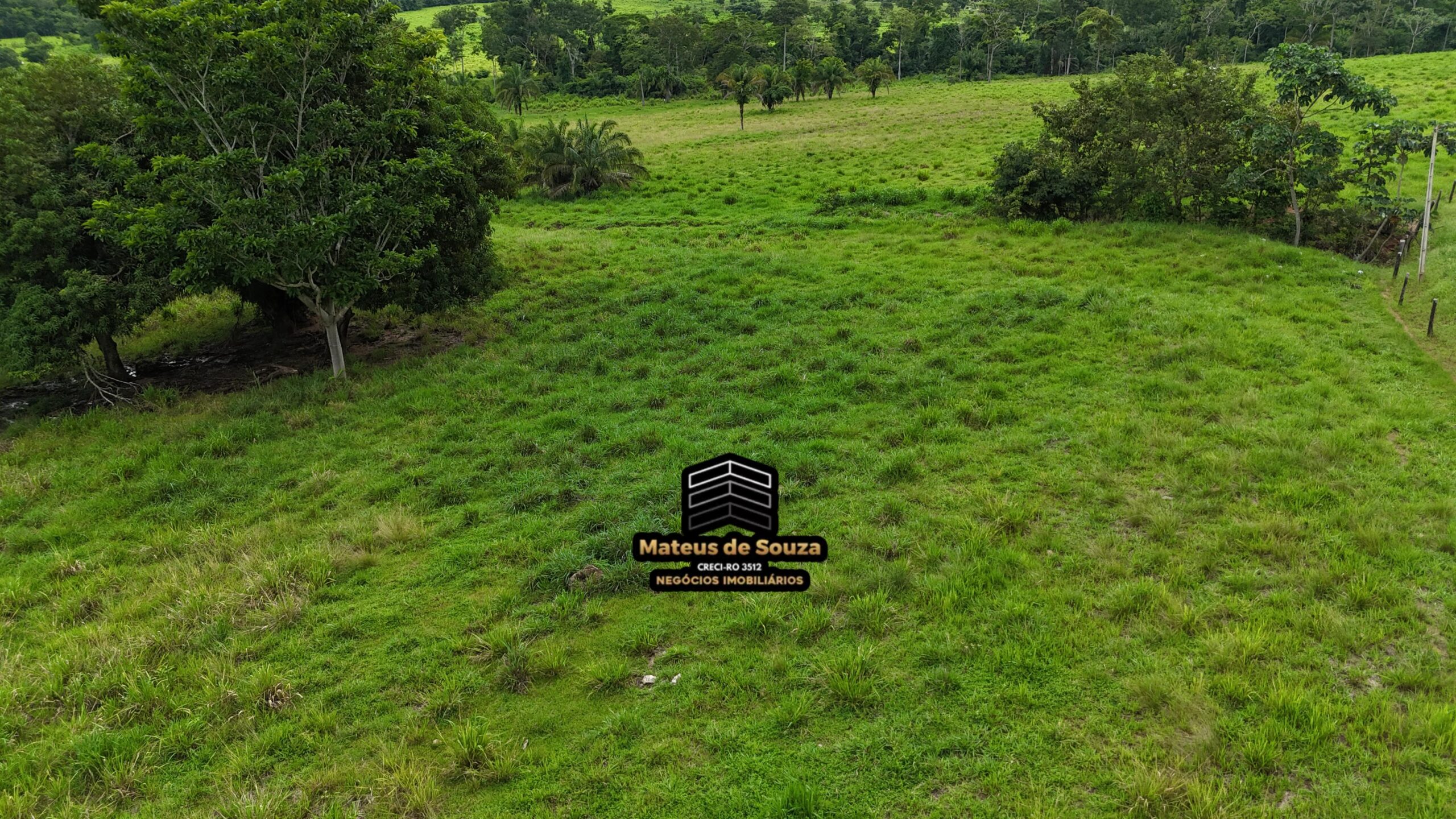 WhatsApp Image 2026-02-21 at 20.49.32