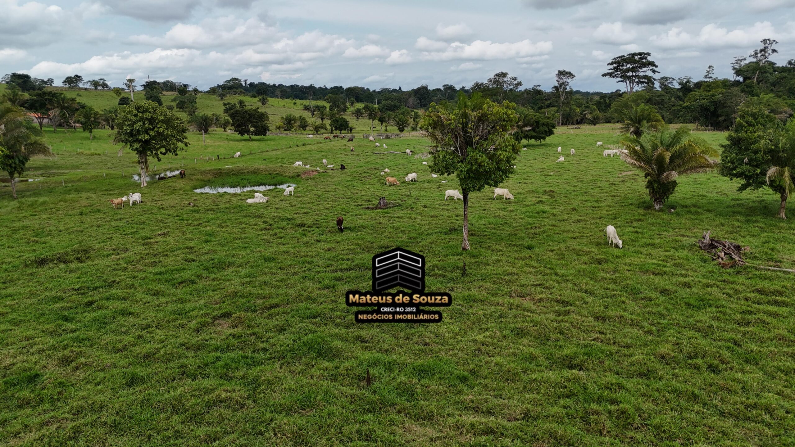 WhatsApp Image 2026-02-21 at 20.49.33 (1)