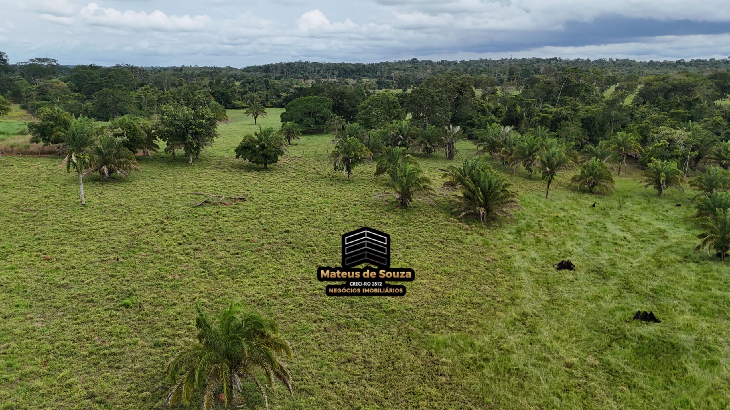 WhatsApp Image 2026-02-21 at 20.49.33