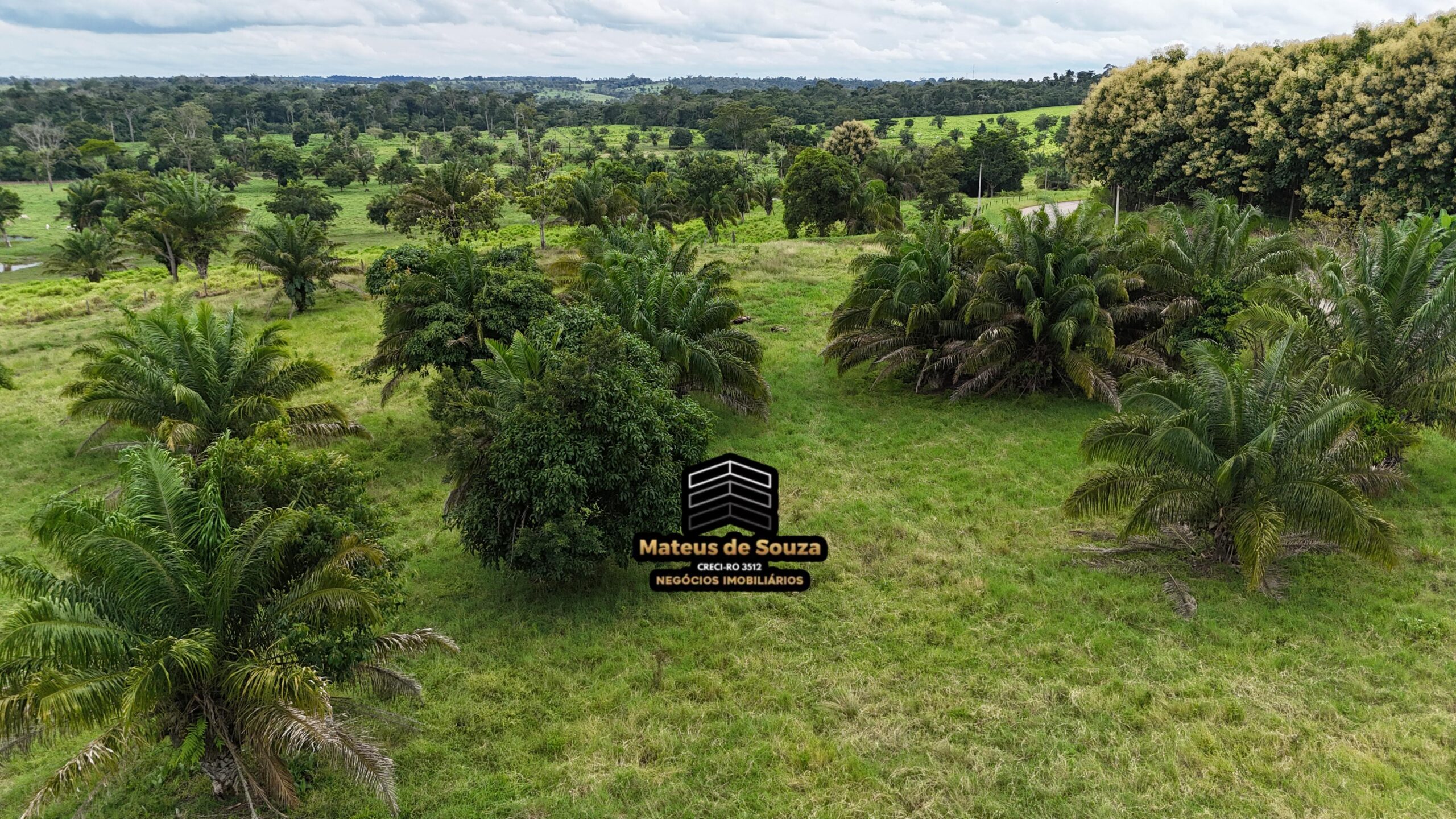 WhatsApp Image 2026-02-21 at 20.49.35