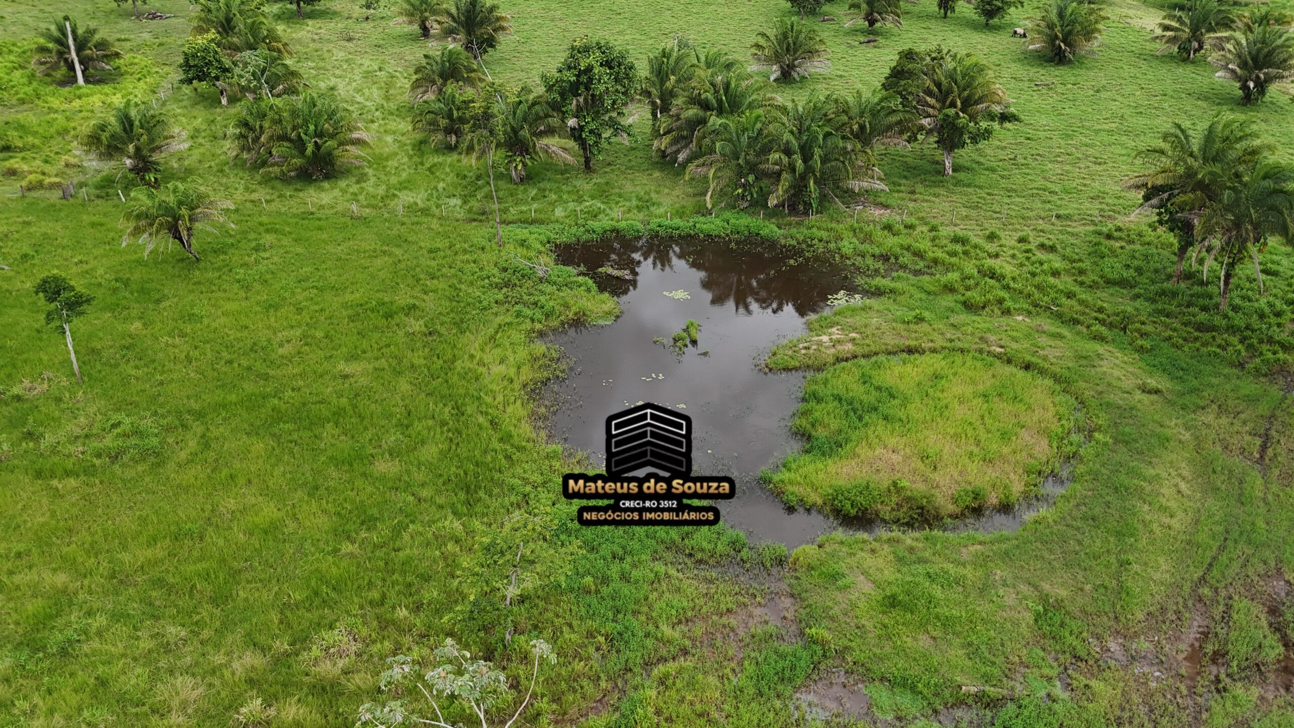 WhatsApp Image 2026-02-21 at 20.49.36