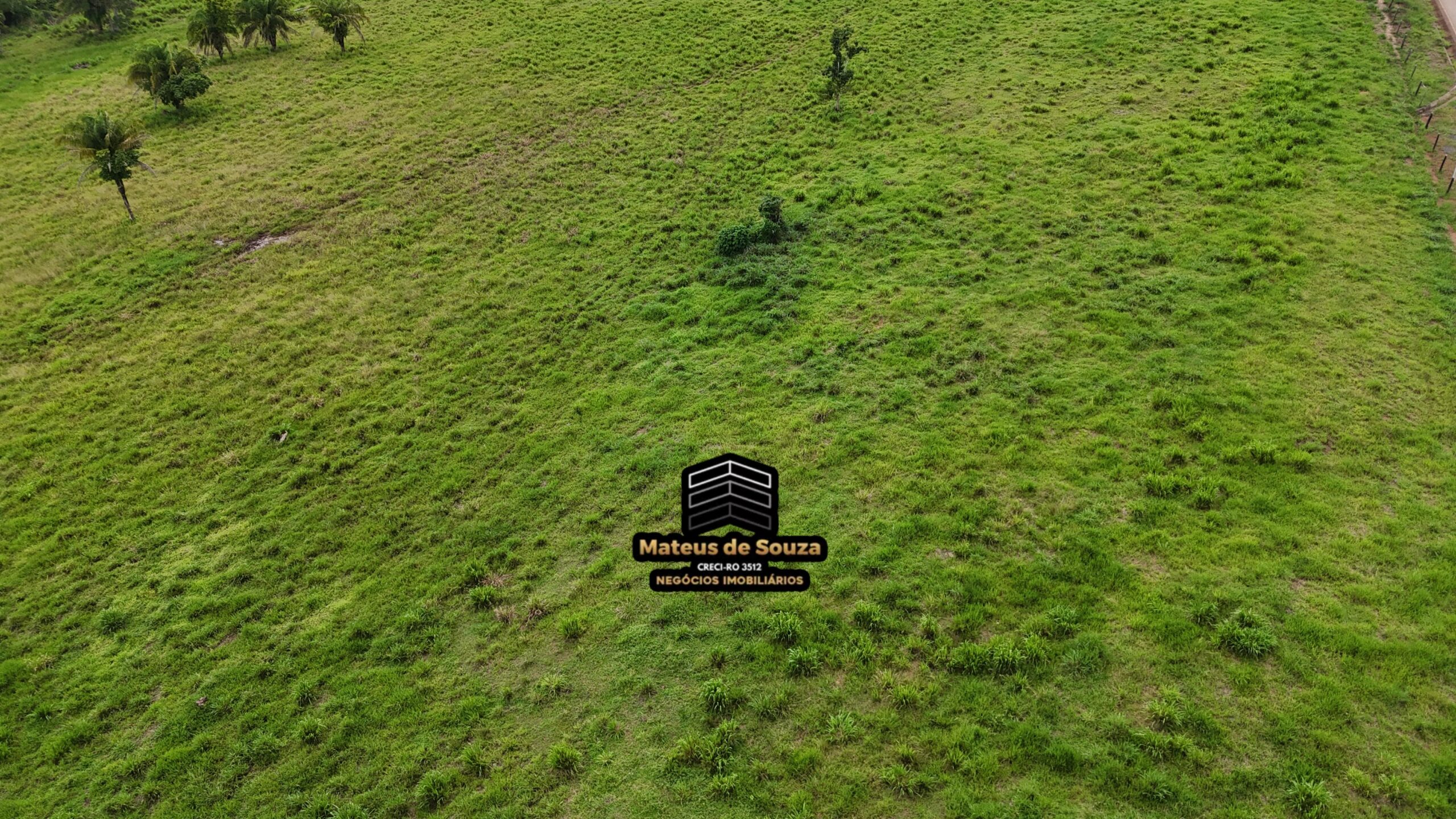 WhatsApp Image 2026-02-21 at 20.49.40