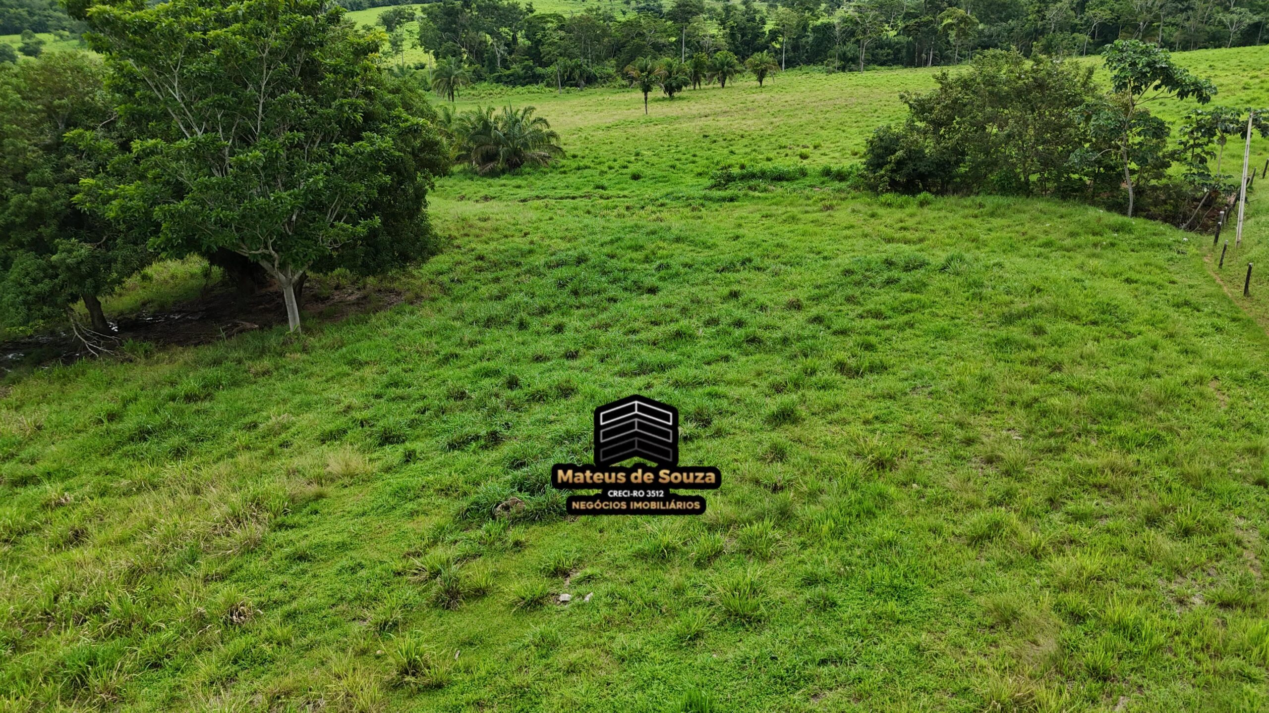 WhatsApp Image 2026-02-21 at 20.49.42