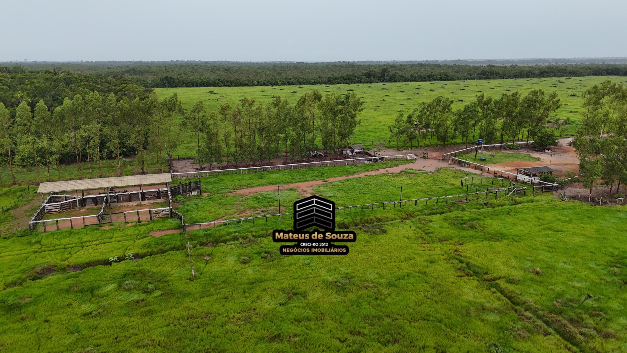 WhatsApp Image 2026-02-21 at 20.49.45 (1)