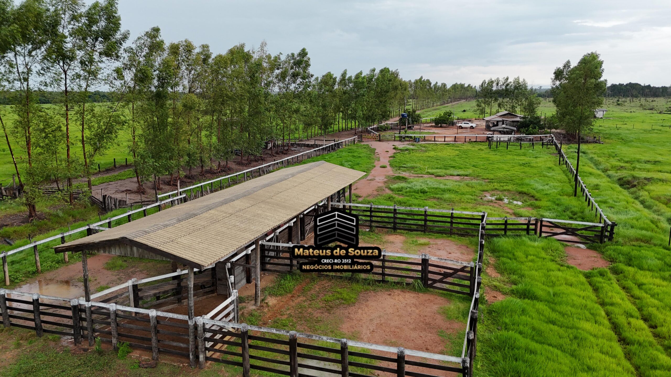 WhatsApp Image 2026-02-21 at 20.49.45