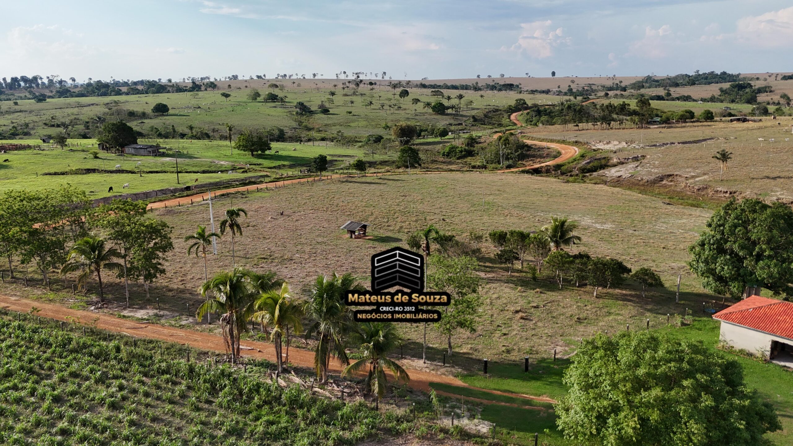 WhatsApp Image 2026-02-21 at 20.50.33 (1)