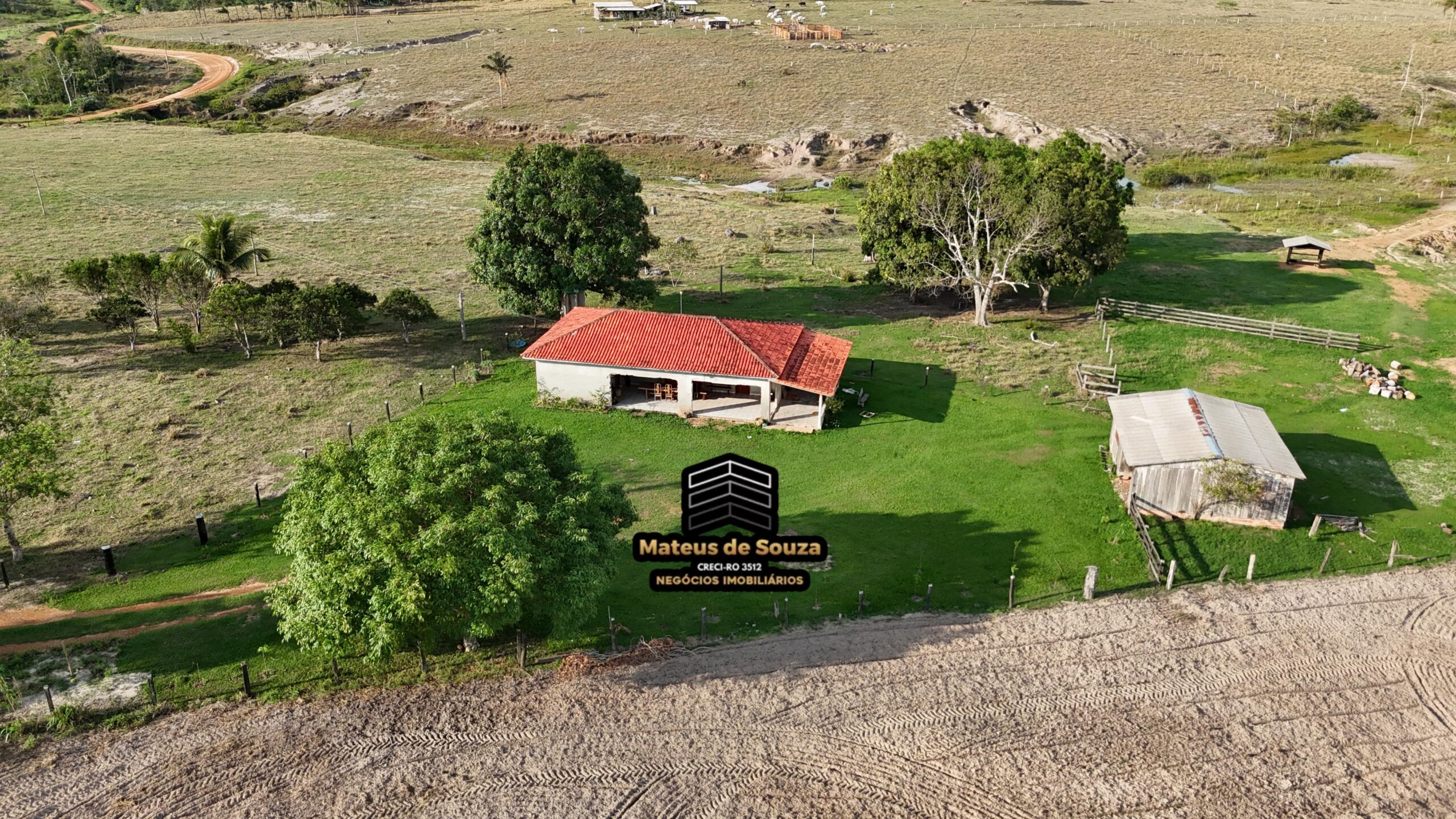 WhatsApp Image 2026-02-21 at 20.50.33