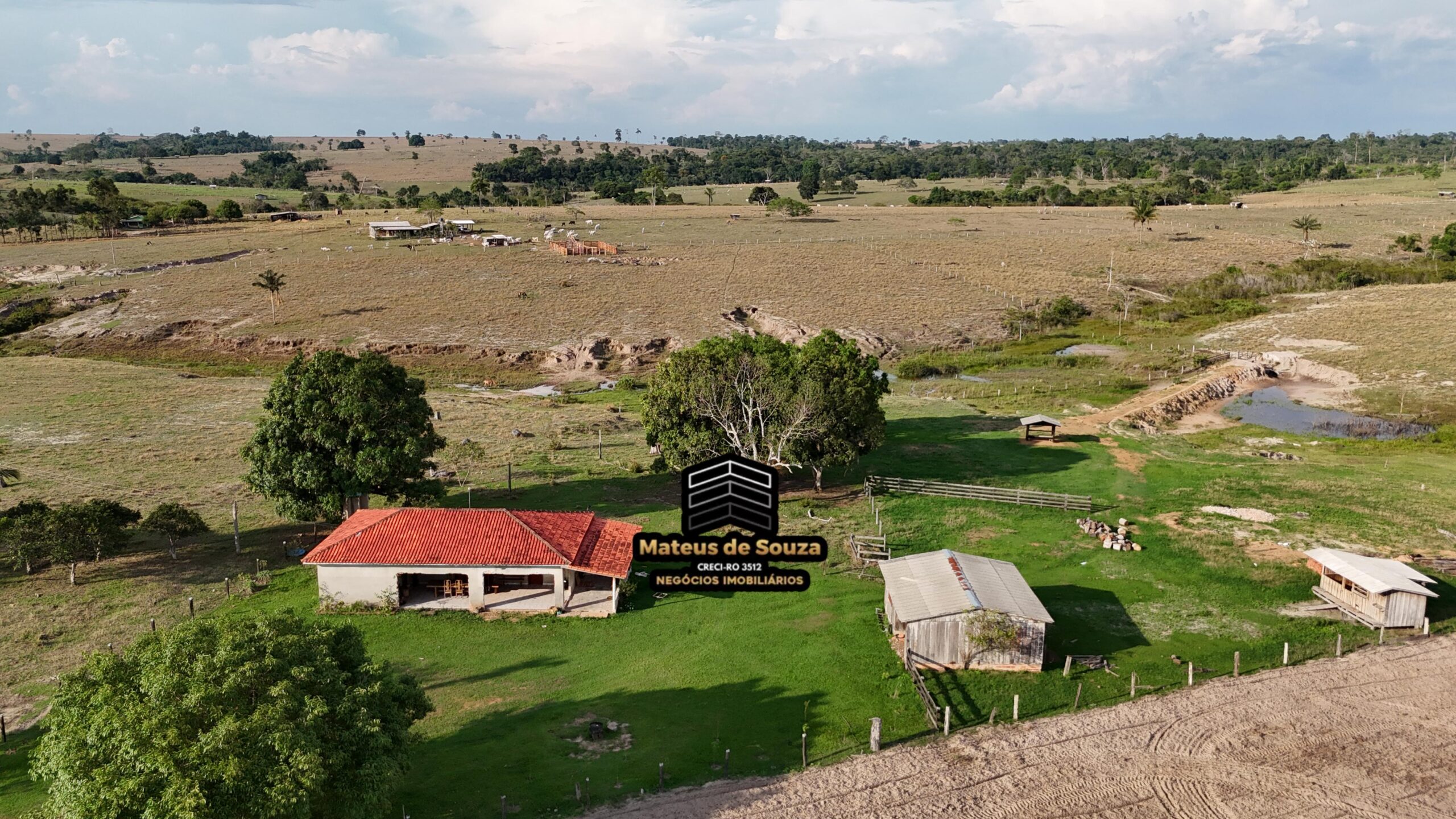 WhatsApp Image 2026-02-21 at 20.50.34