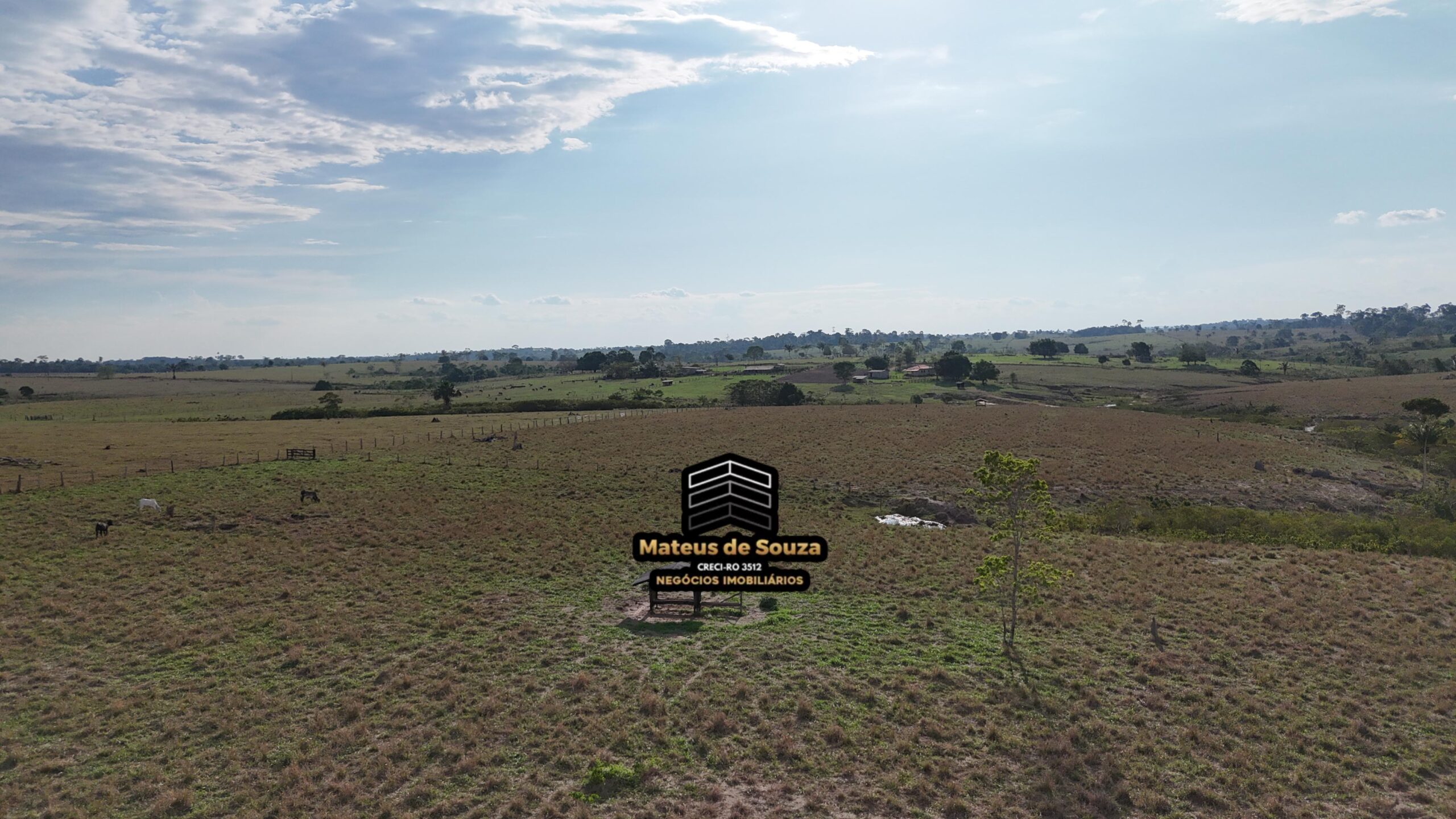 WhatsApp Image 2026-02-21 at 20.50.36 (1)