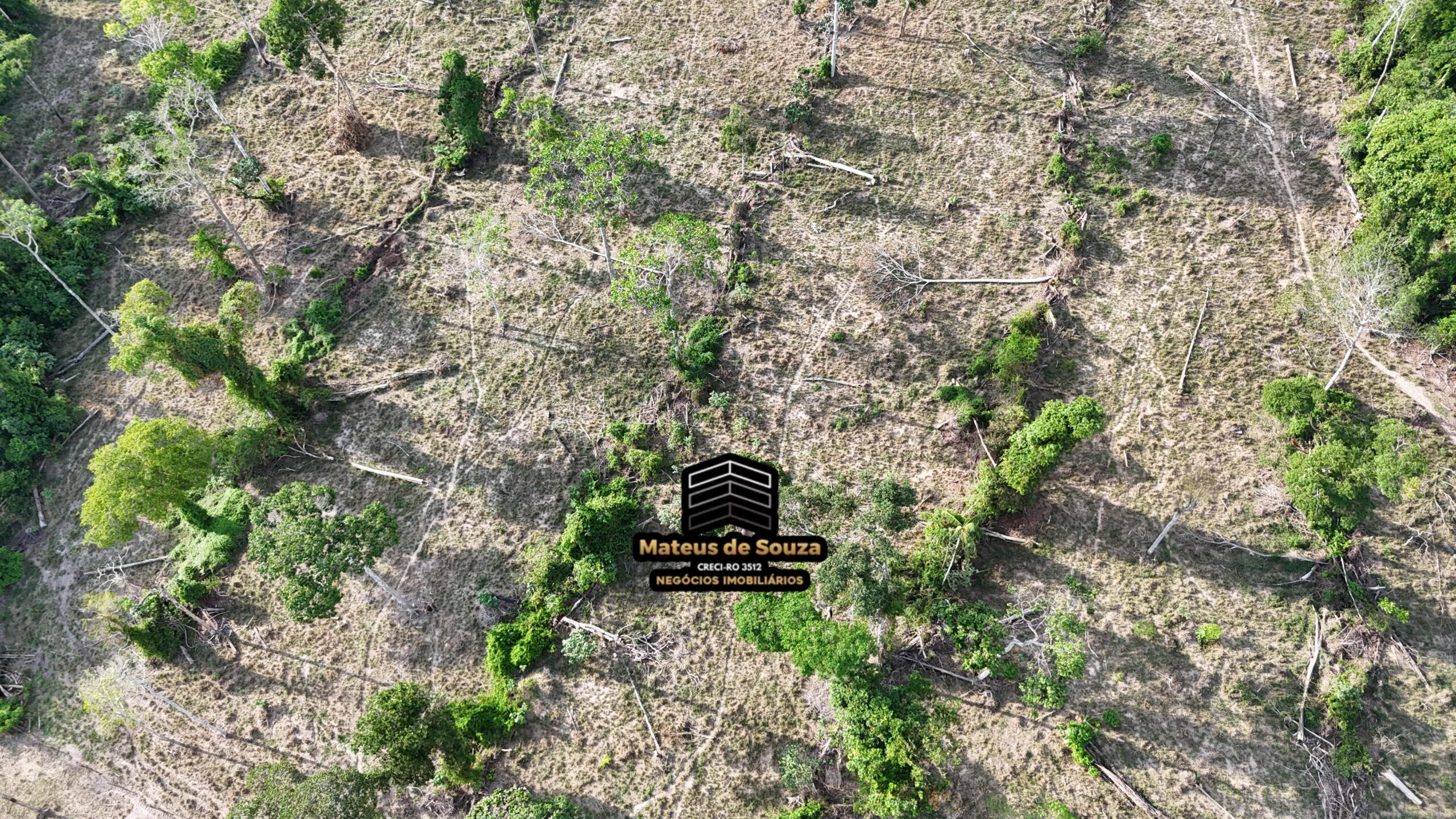 WhatsApp Image 2026-02-21 at 20.50.36