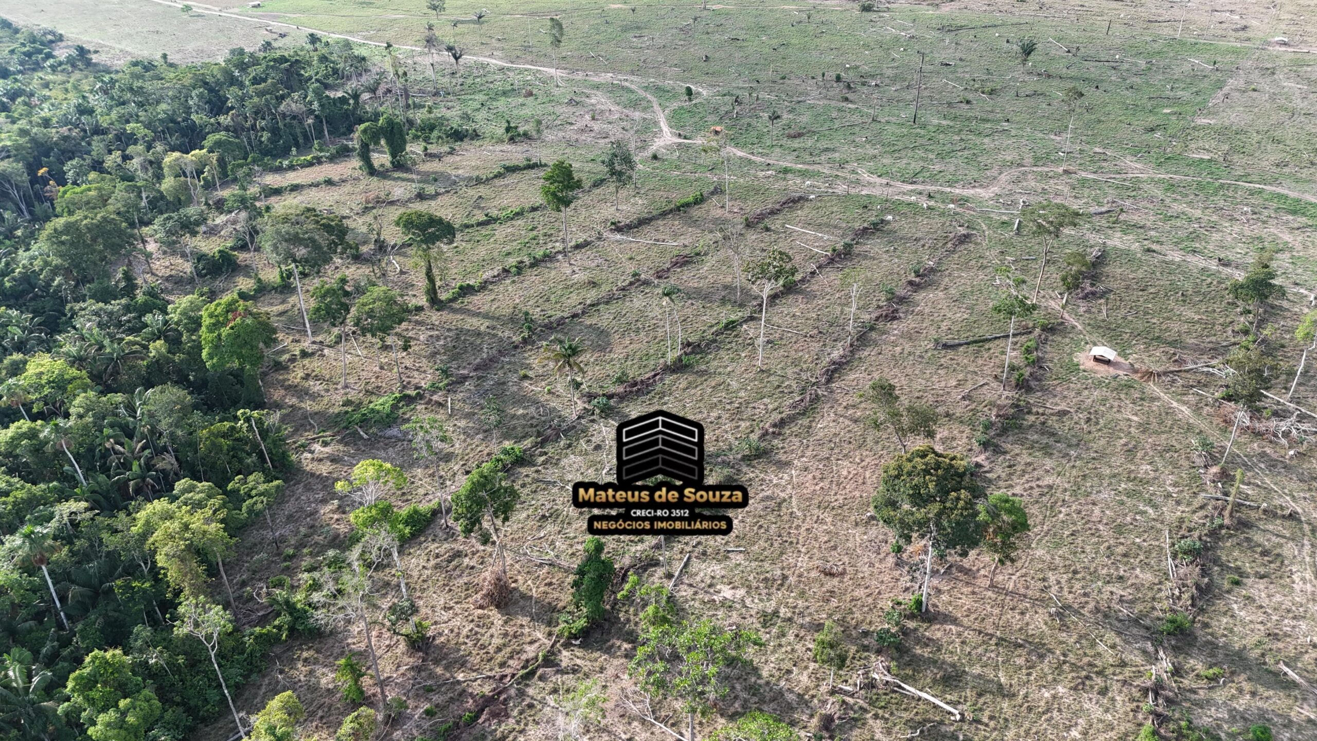 WhatsApp Image 2026-02-21 at 20.50.37 (2)