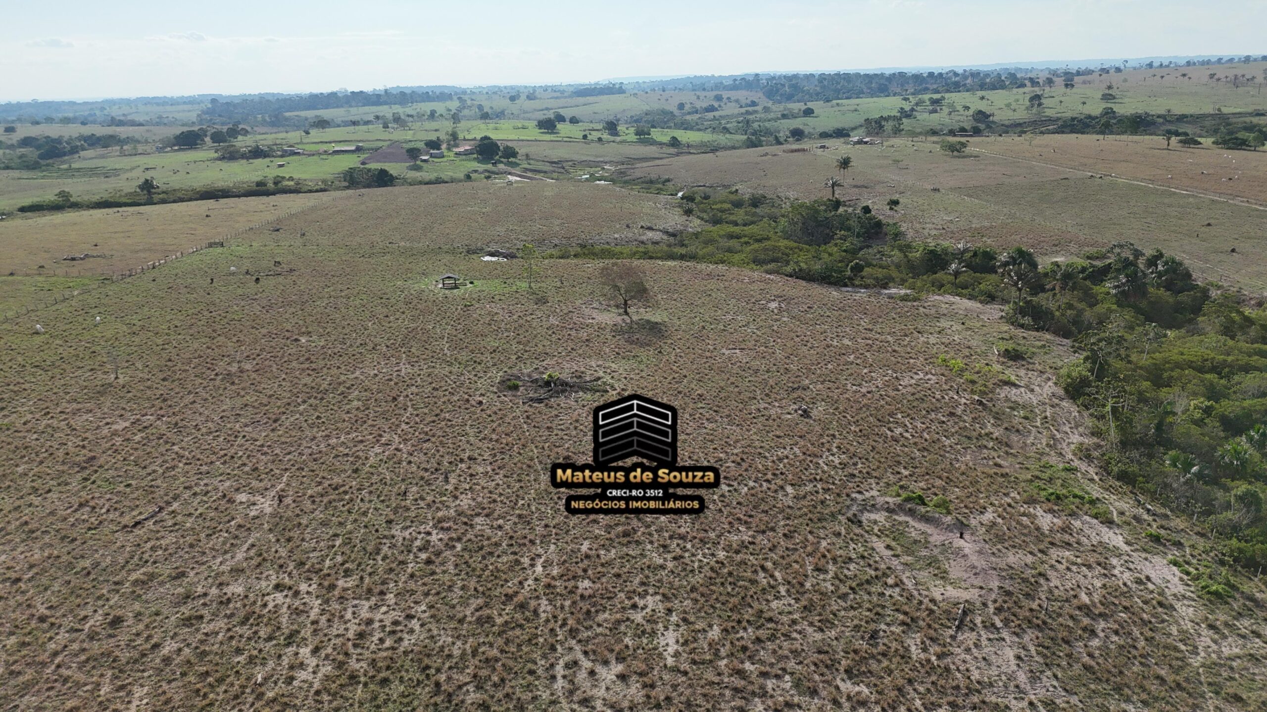 WhatsApp Image 2026-02-21 at 20.50.37