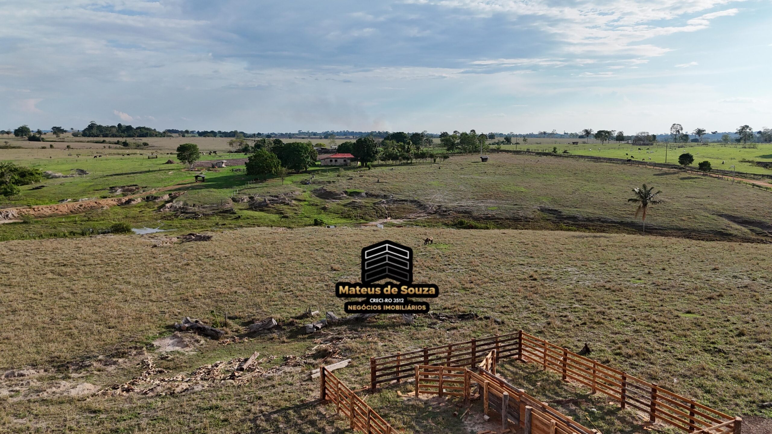 WhatsApp Image 2026-02-21 at 20.50.40 (1)