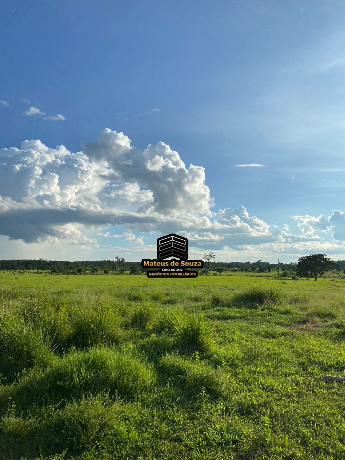 WhatsApp Image 2026-02-21 at 20.50.49