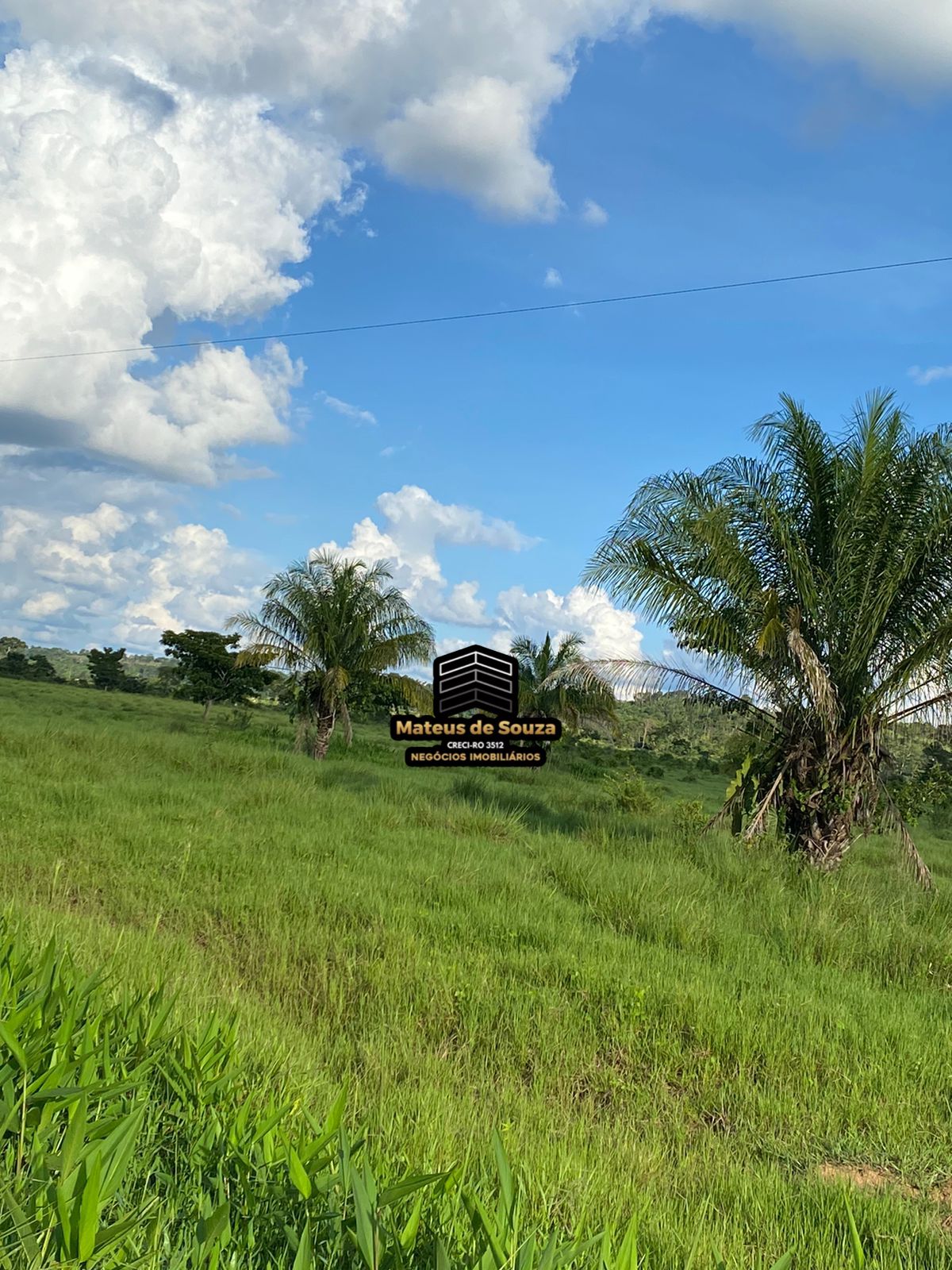 WhatsApp Image 2026-02-21 at 20.50.50 (1)