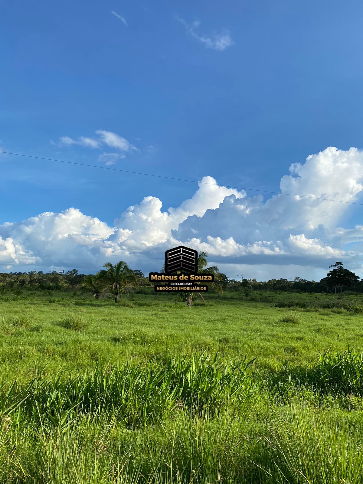 WhatsApp Image 2026-02-21 at 20.50.50 (2)