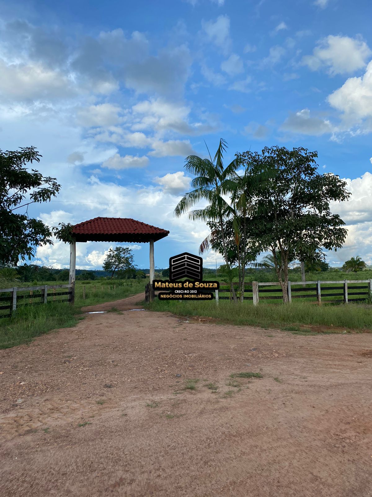 WhatsApp Image 2026-02-21 at 20.50.50