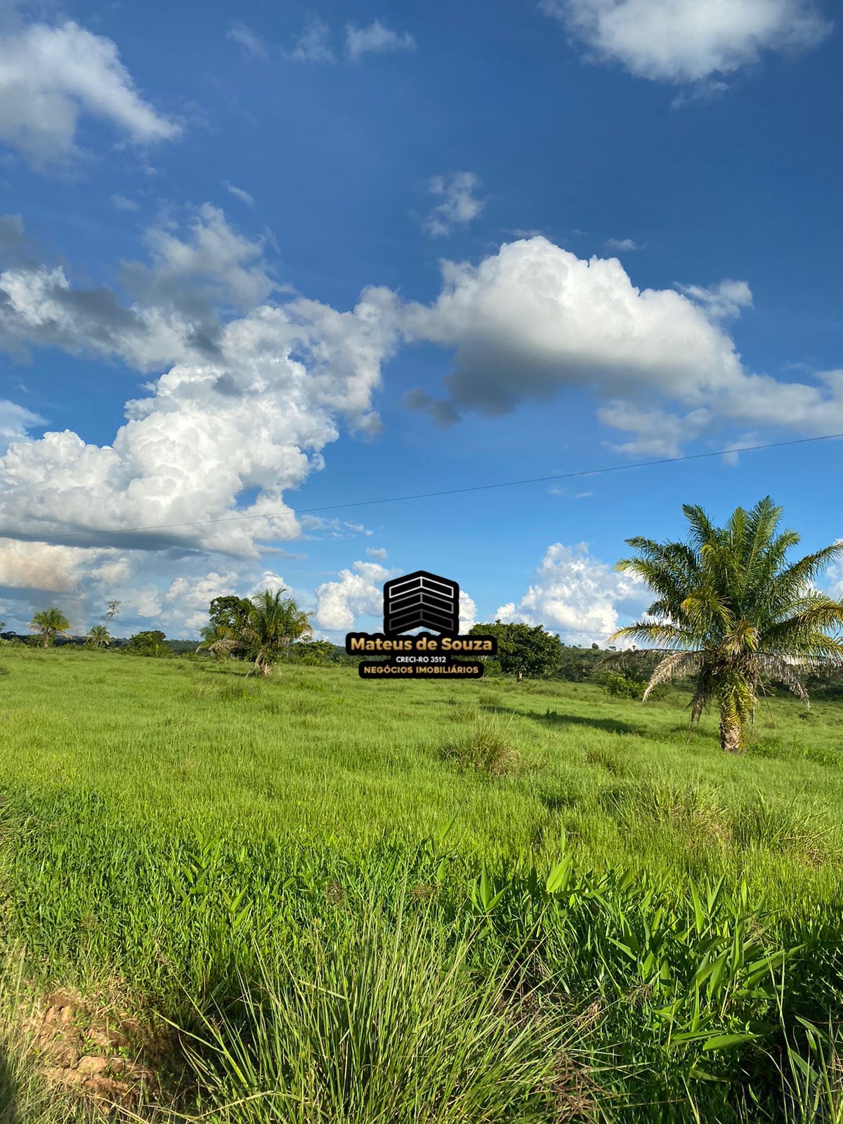 WhatsApp Image 2026-02-21 at 20.50.51 (1)