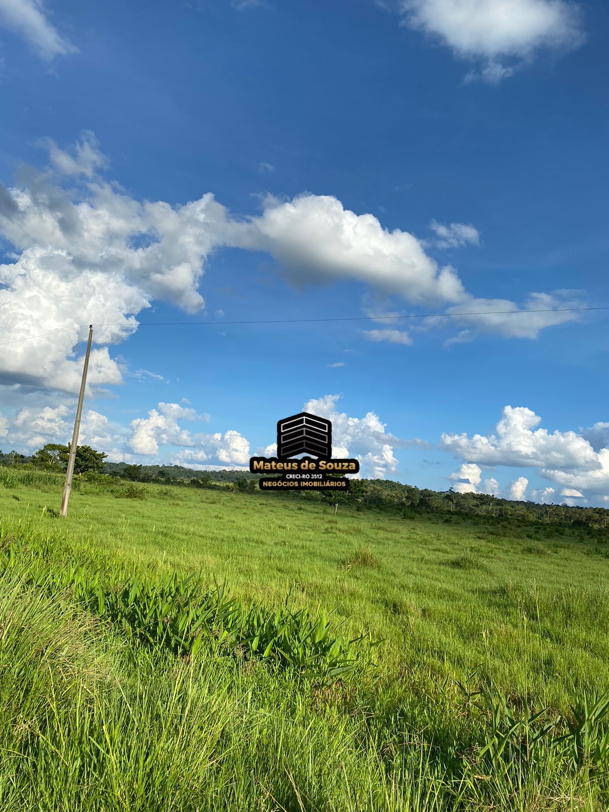 WhatsApp Image 2026-02-21 at 20.50.51