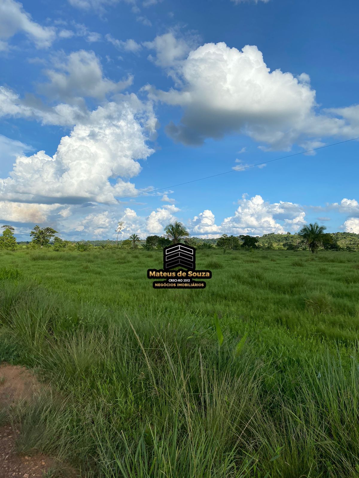 WhatsApp Image 2026-02-21 at 20.50.52 (1)