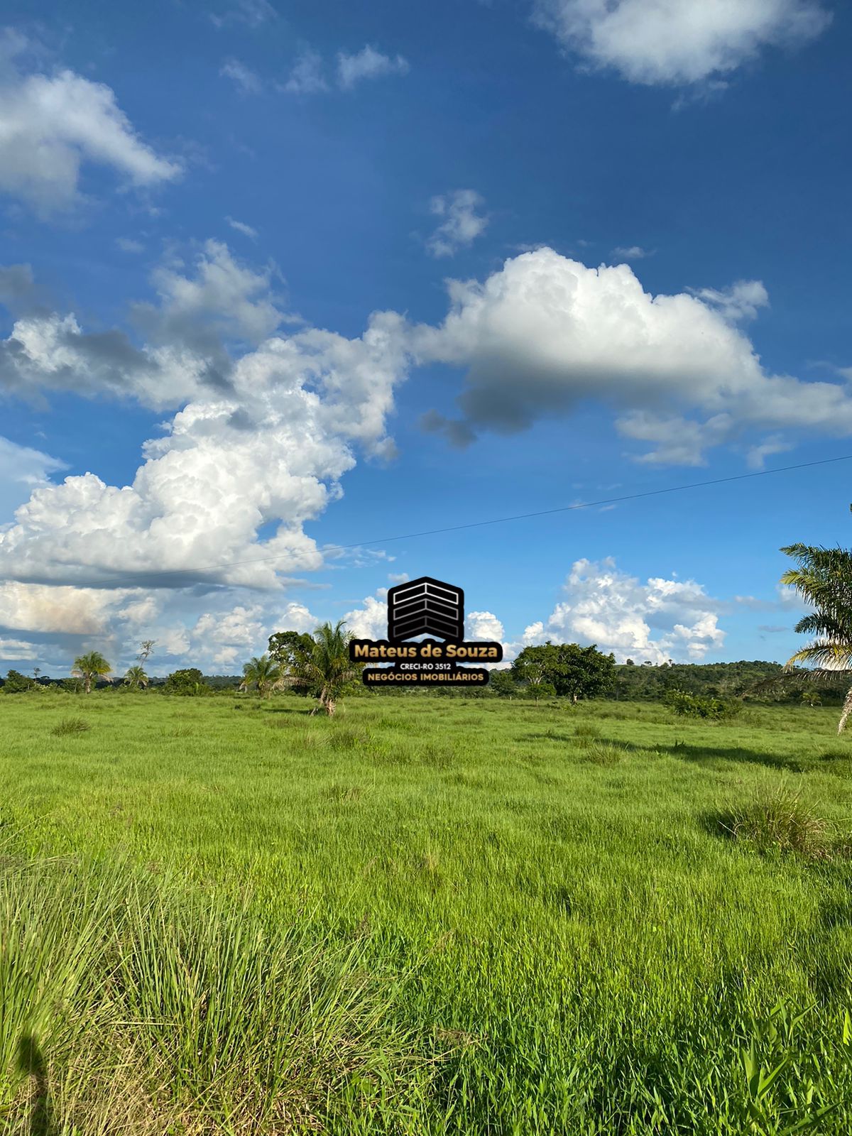 WhatsApp Image 2026-02-21 at 20.50.52 (2)