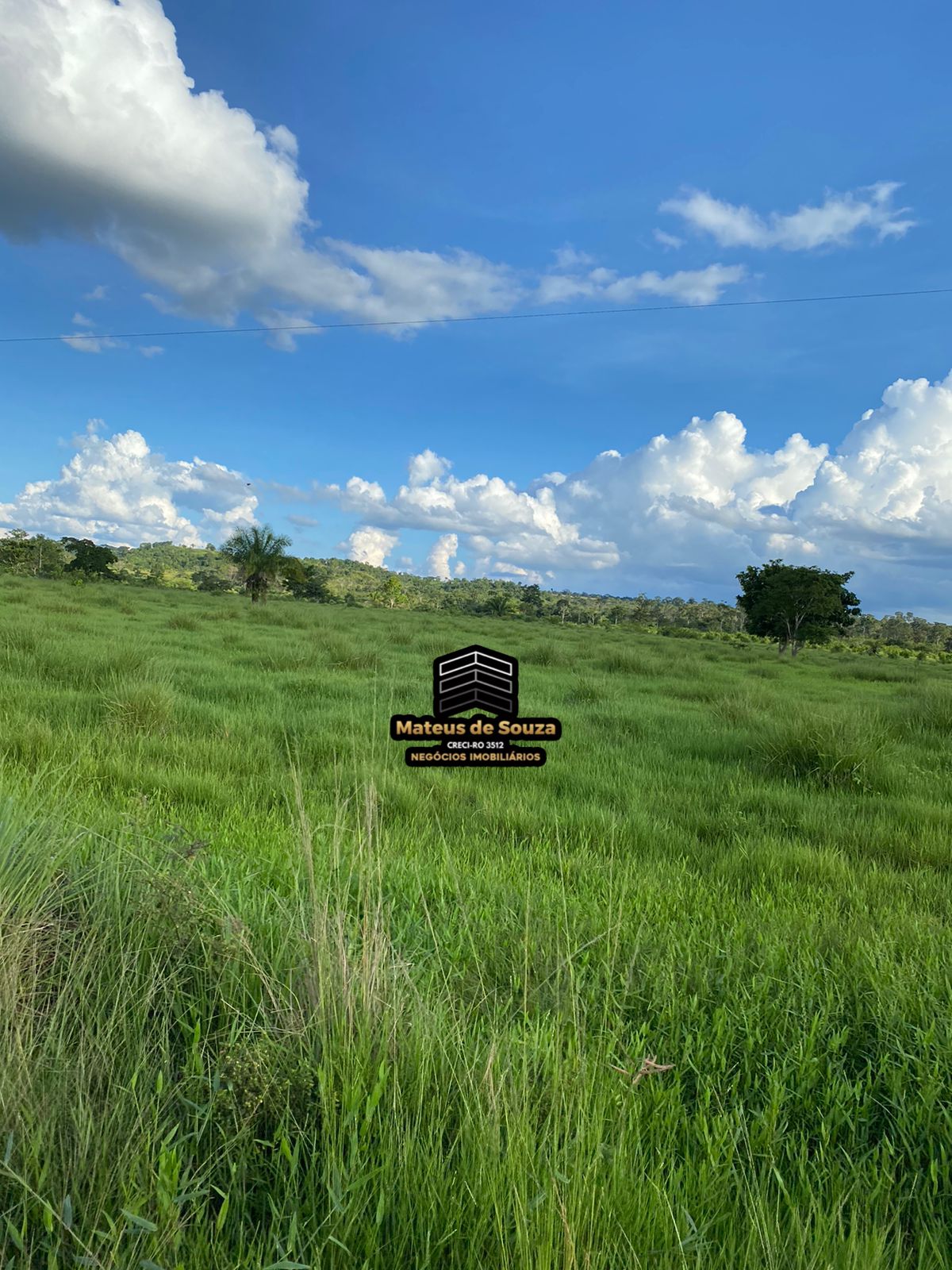 WhatsApp Image 2026-02-21 at 20.50.52