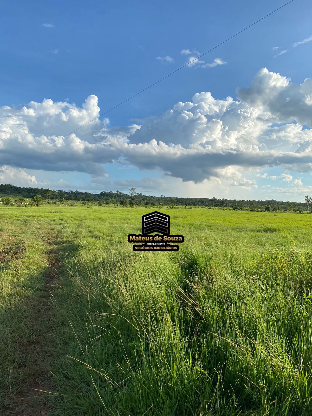 WhatsApp Image 2026-02-21 at 20.50.53 (1)