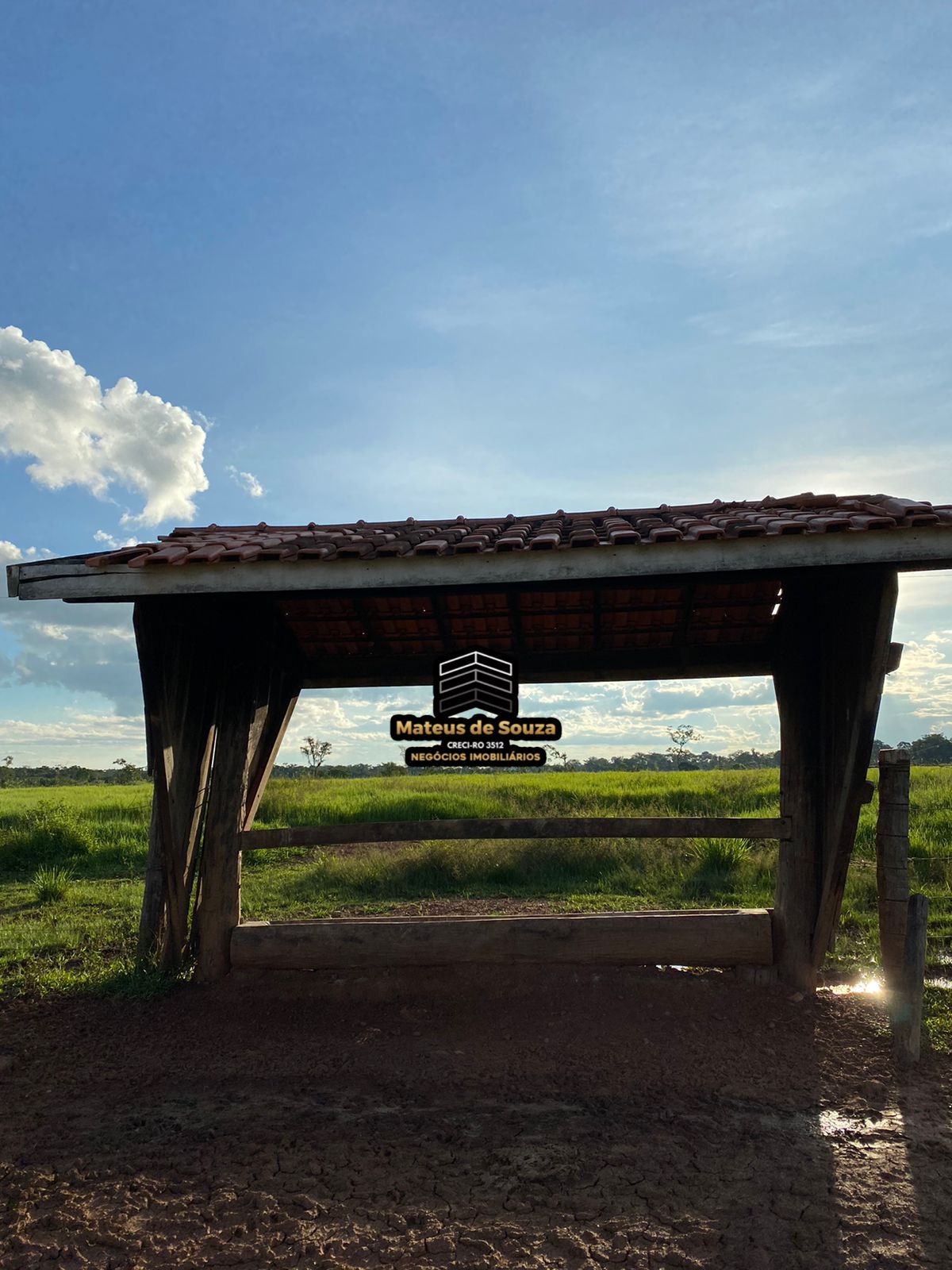 WhatsApp Image 2026-02-21 at 20.50.54 (1)