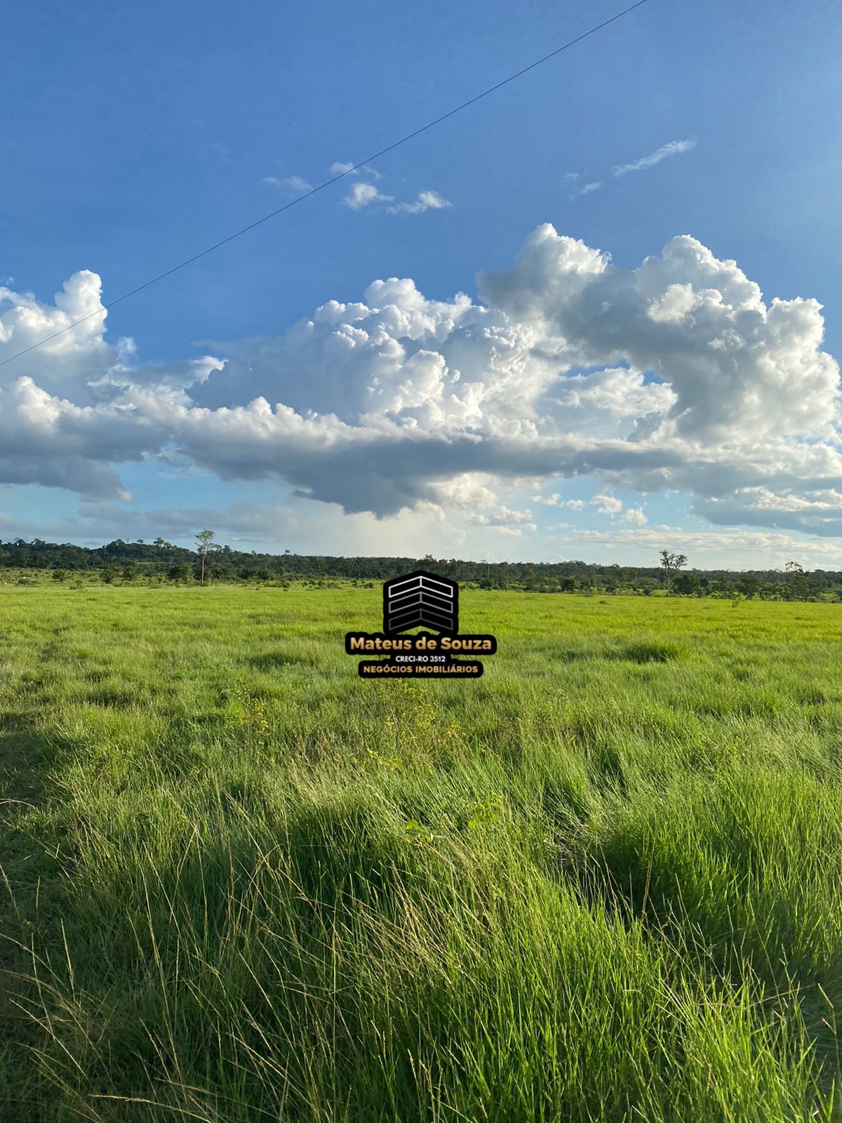 WhatsApp Image 2026-02-21 at 20.50.54