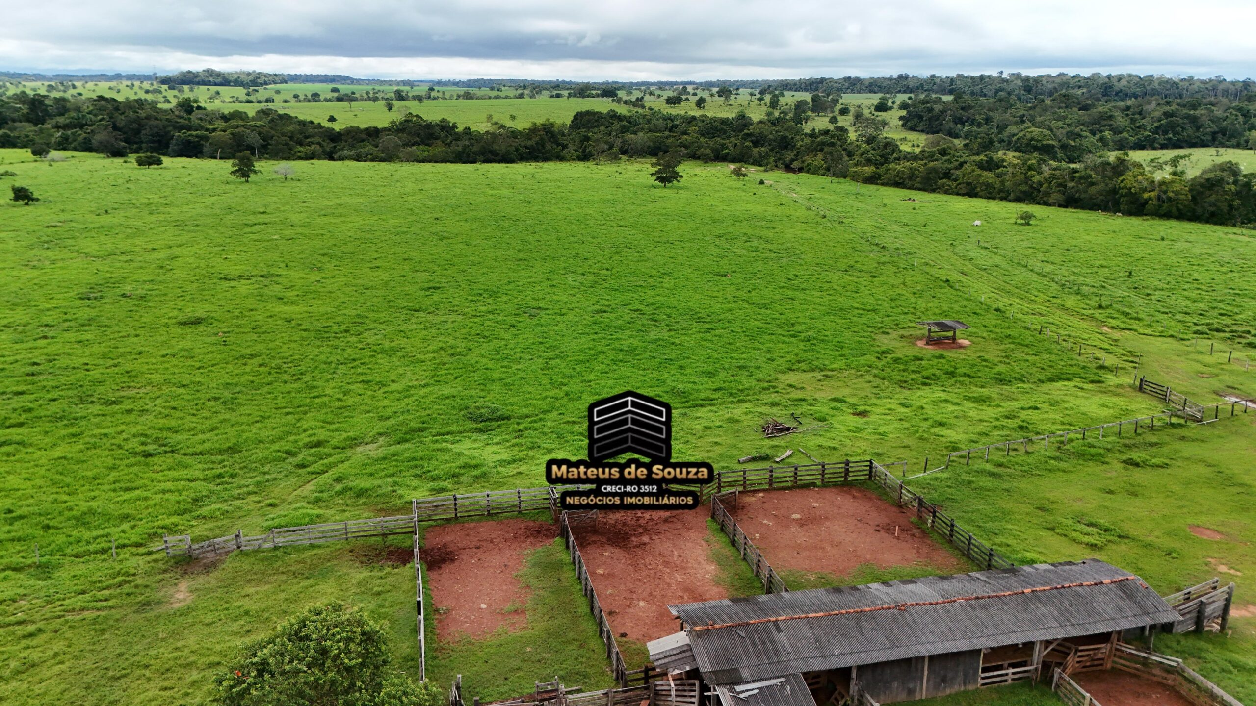 WhatsApp Image 2026-02-21 at 20.51.27 (1)