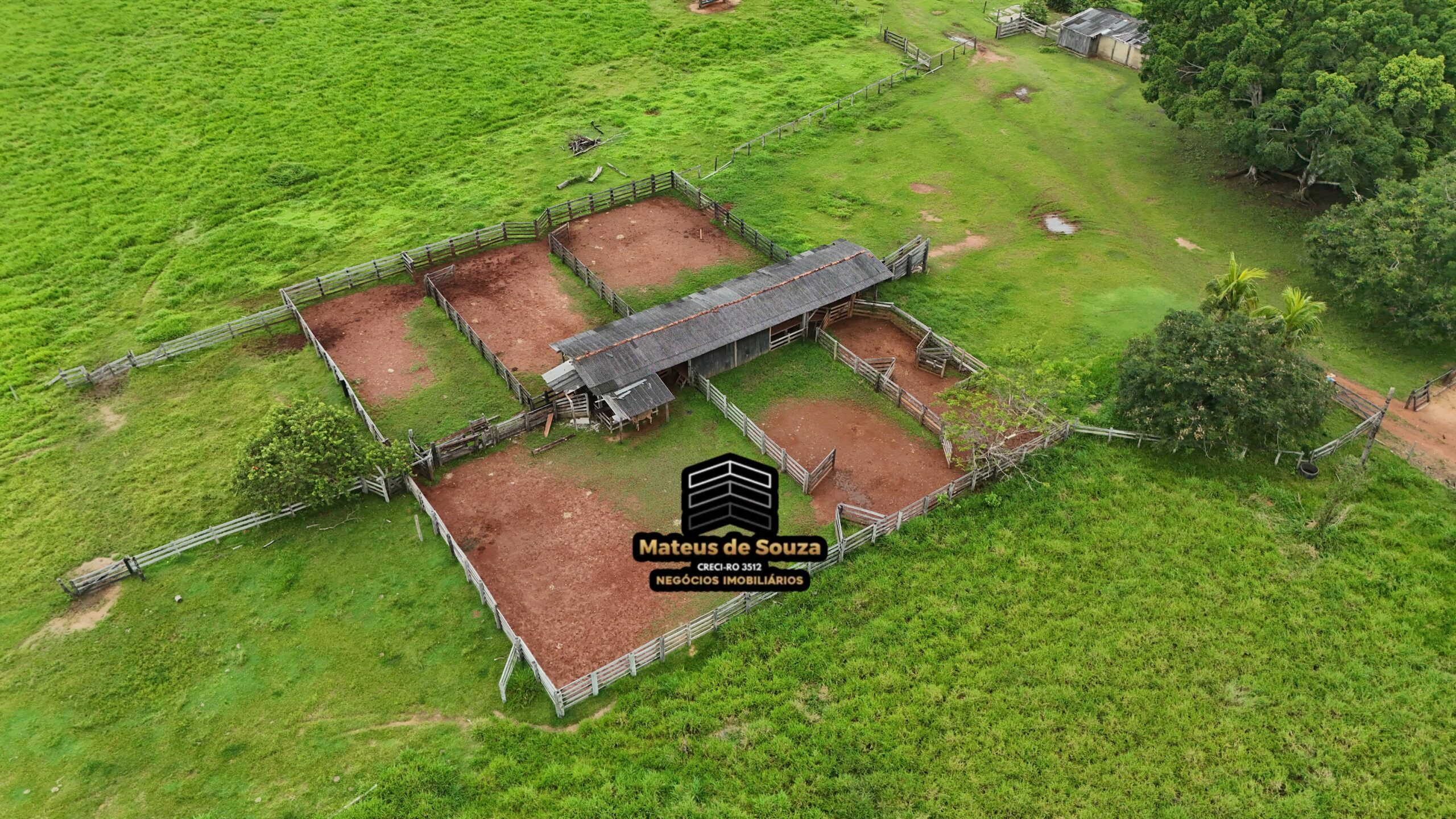 WhatsApp Image 2026-02-21 at 20.51.27