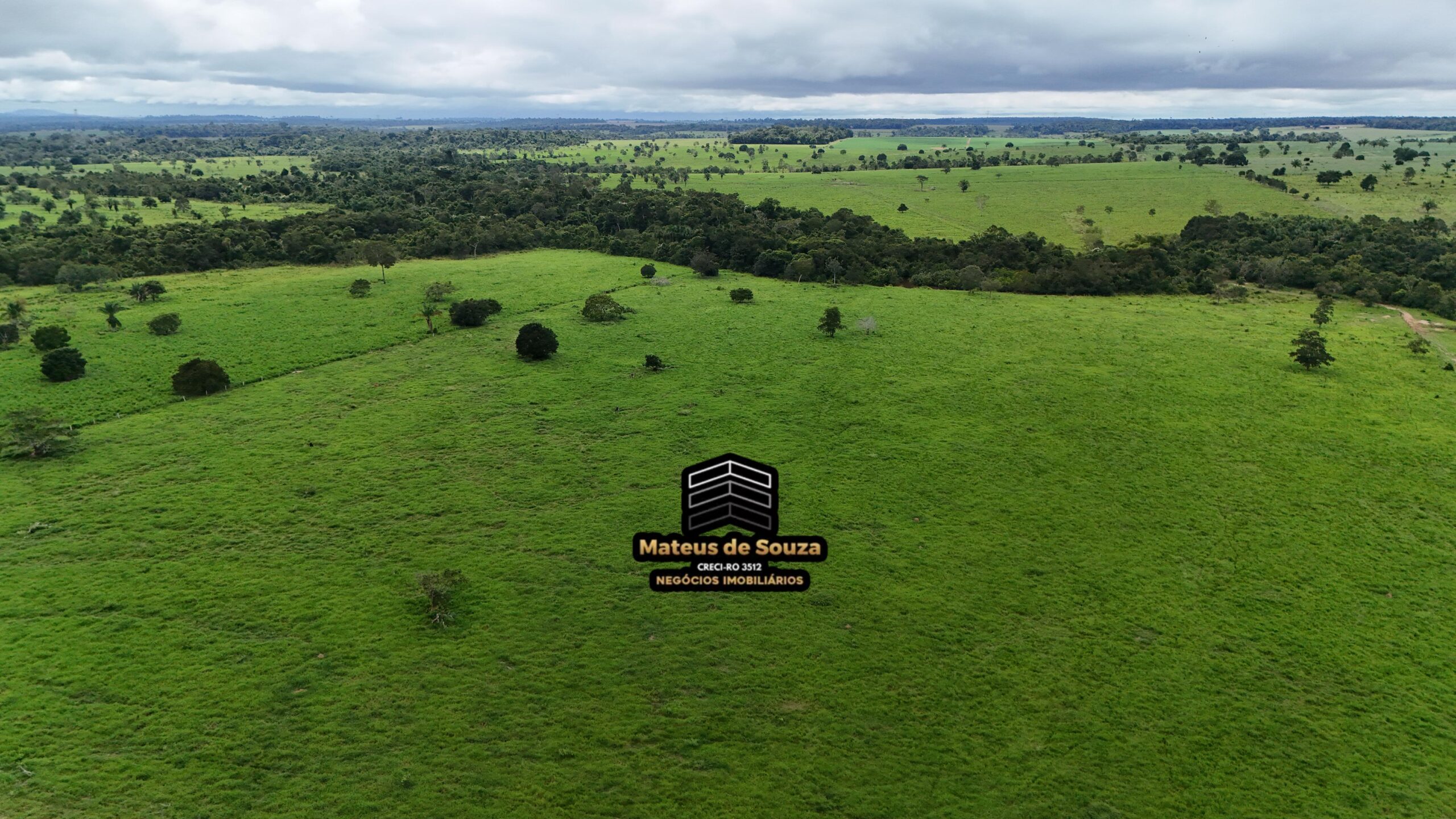 WhatsApp Image 2026-02-21 at 20.51.28