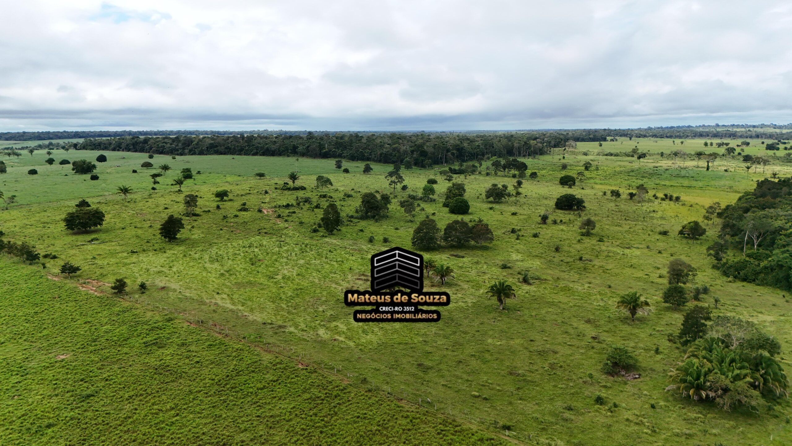 WhatsApp Image 2026-02-21 at 20.51.31 (1)