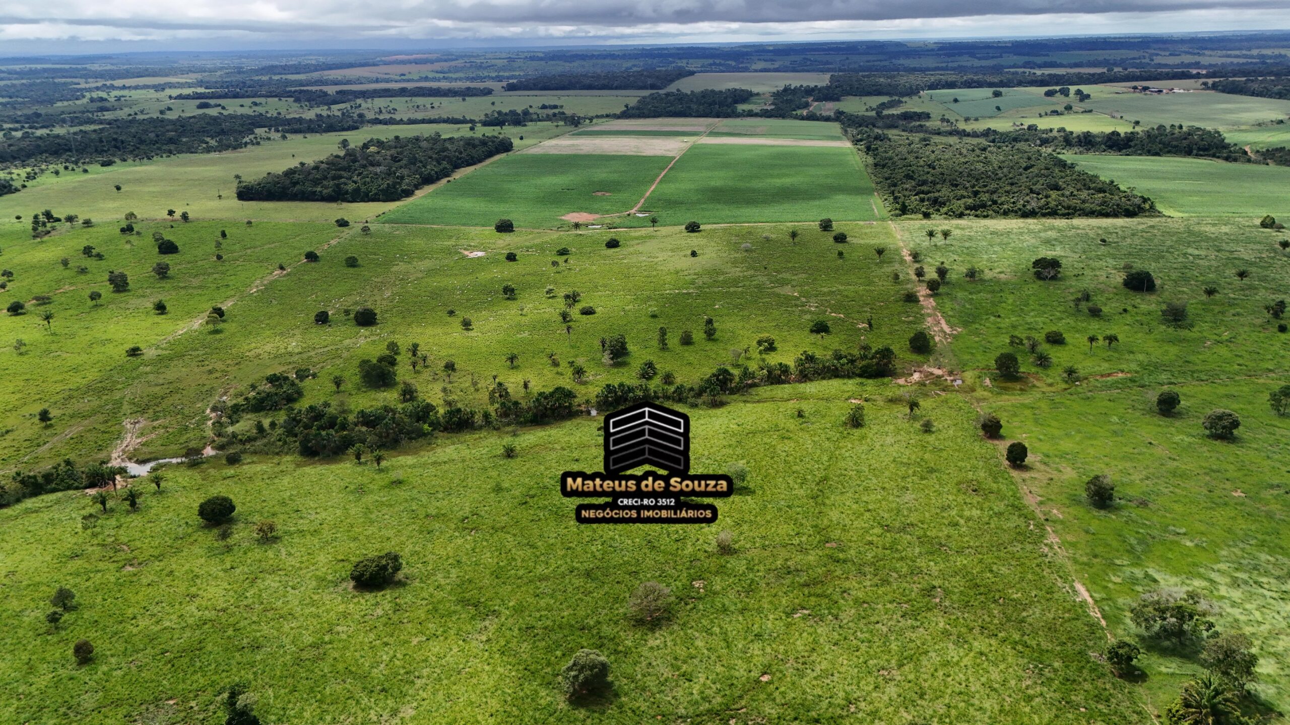 WhatsApp Image 2026-02-21 at 20.51.31 (2)