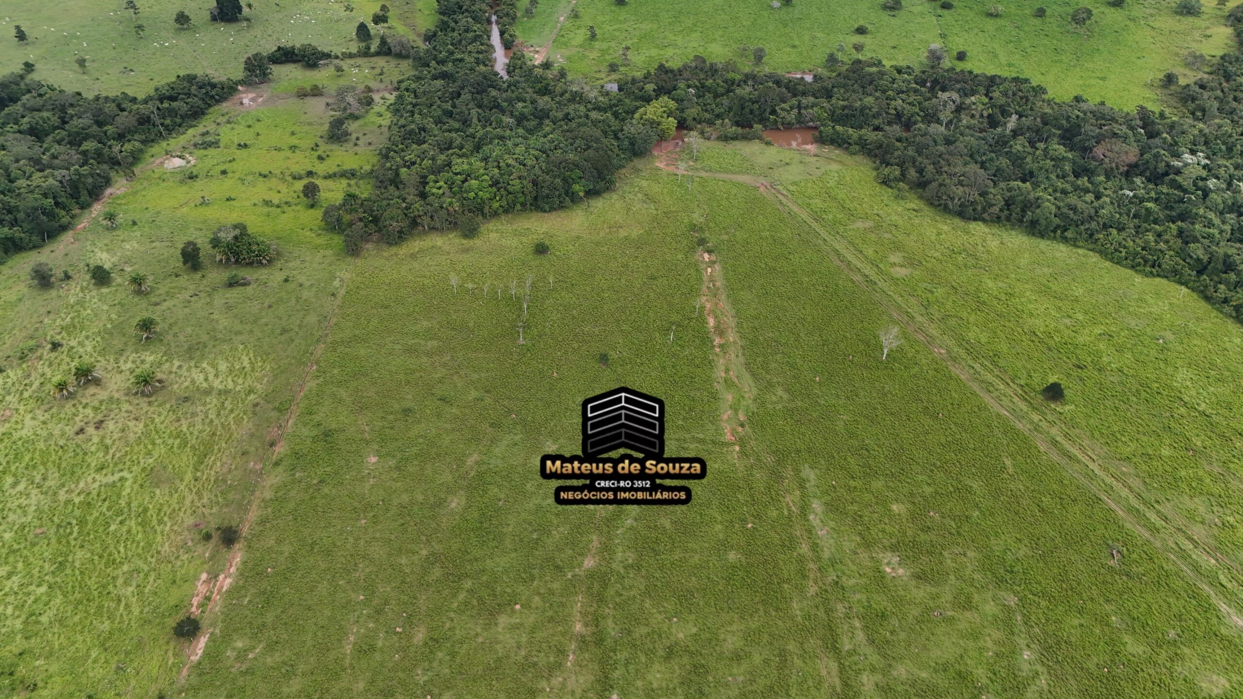 WhatsApp Image 2026-02-21 at 20.51.31