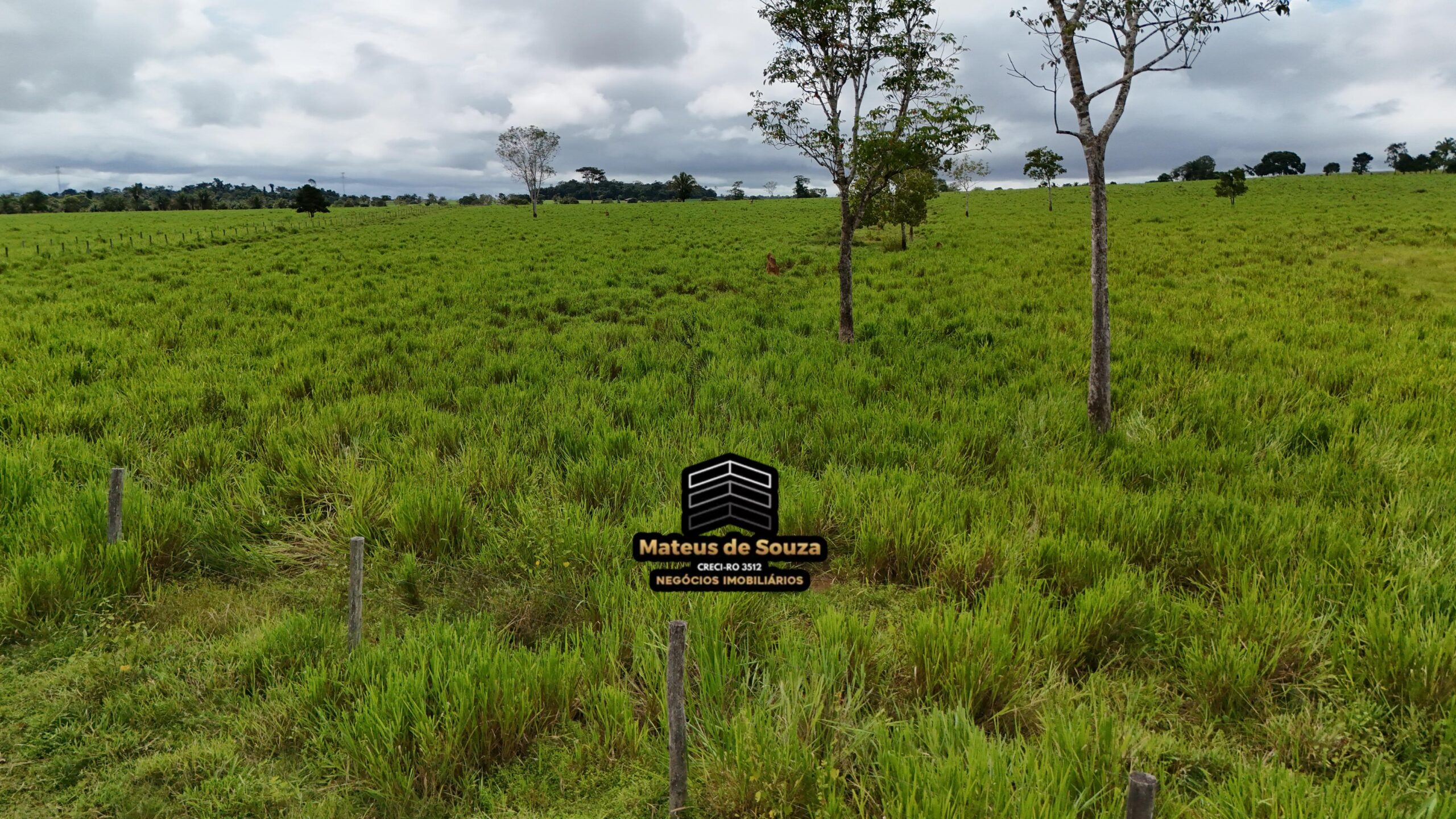 WhatsApp Image 2026-02-21 at 20.51.32 (2)