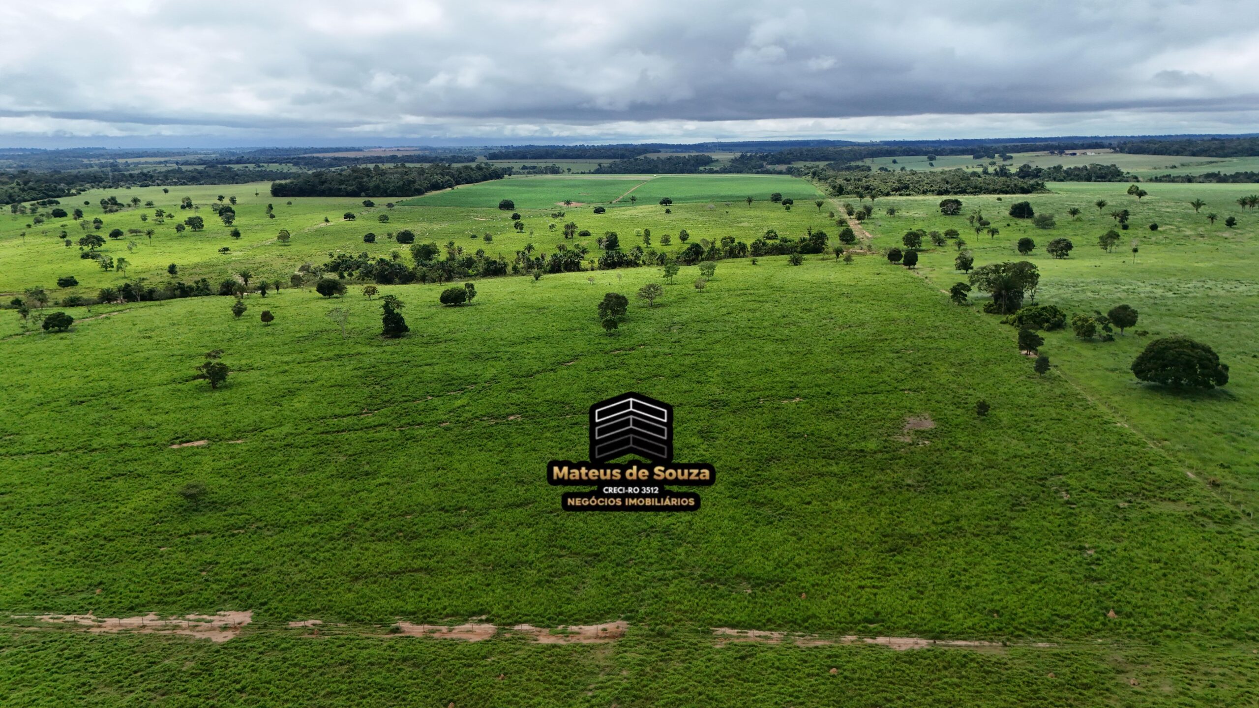 WhatsApp Image 2026-02-21 at 20.51.32