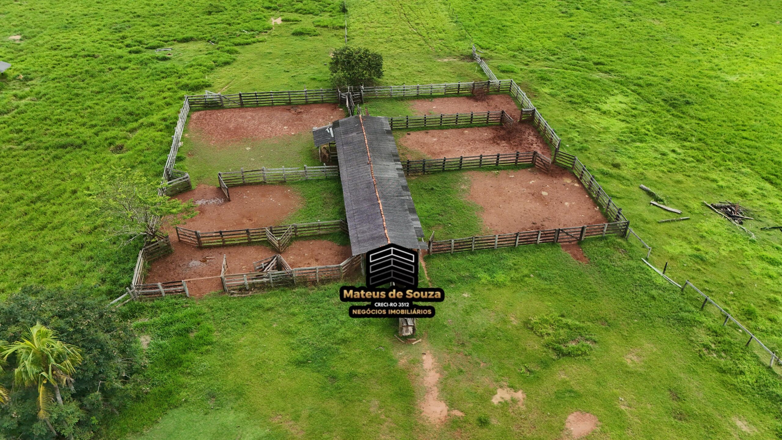 WhatsApp Image 2026-02-21 at 20.51.33 (1)