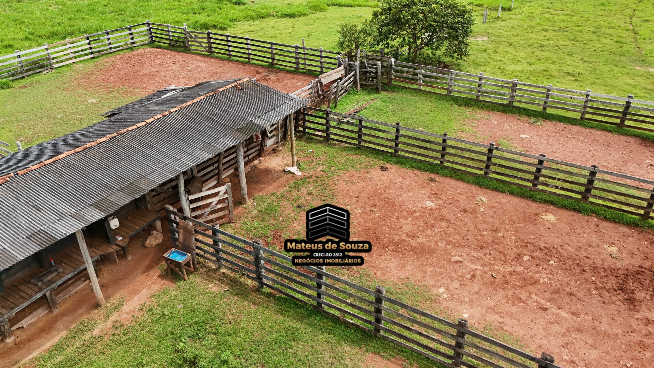 WhatsApp Image 2026-02-21 at 20.51.34