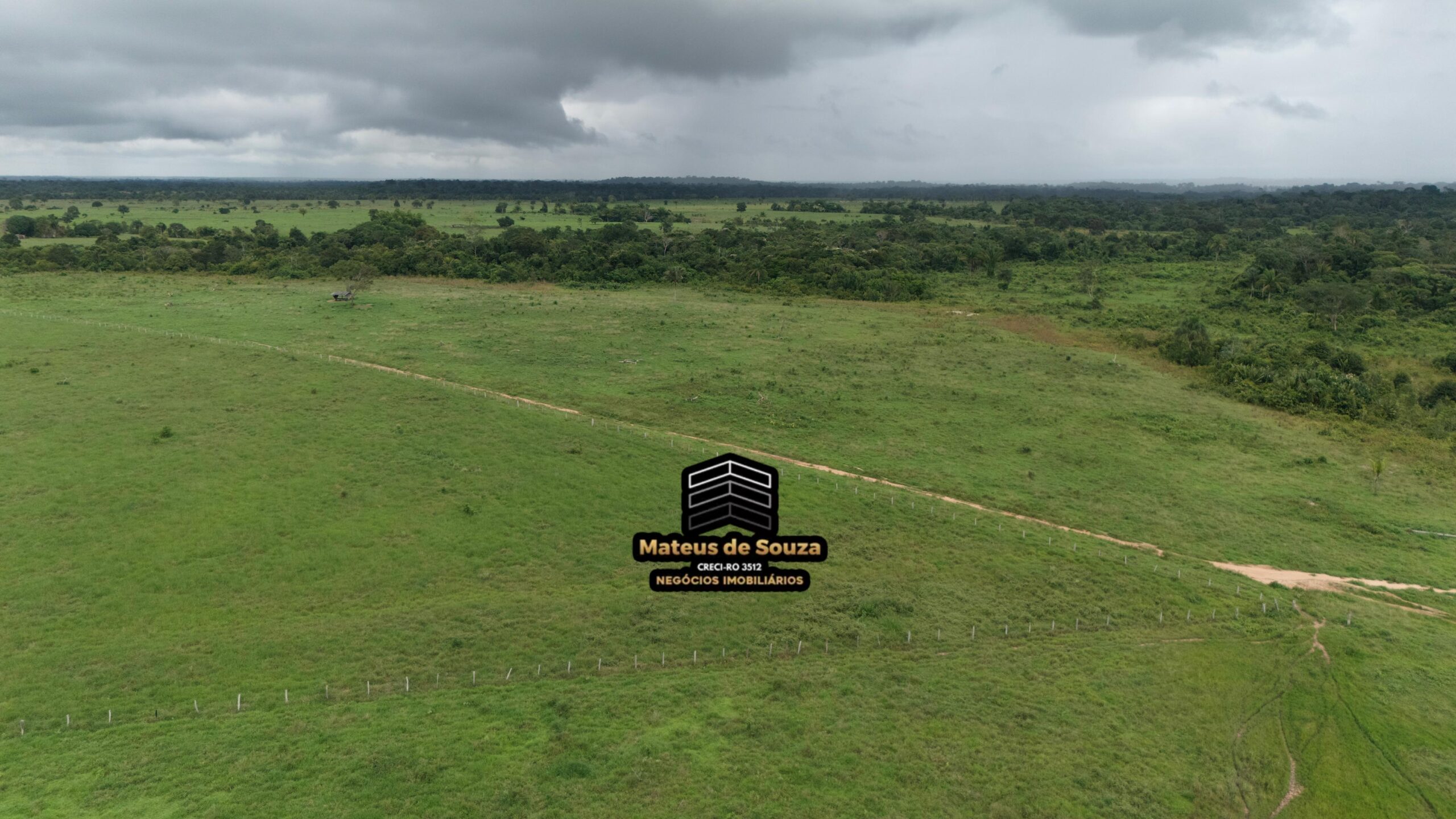 WhatsApp Image 2026-02-21 at 20.52.13