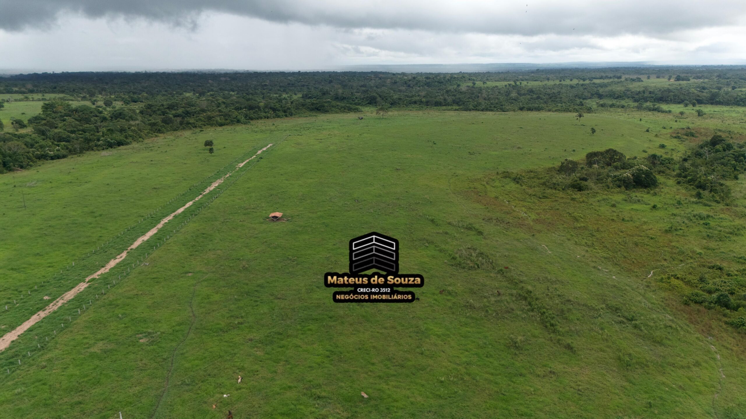 WhatsApp Image 2026-02-21 at 20.52.15 (1)