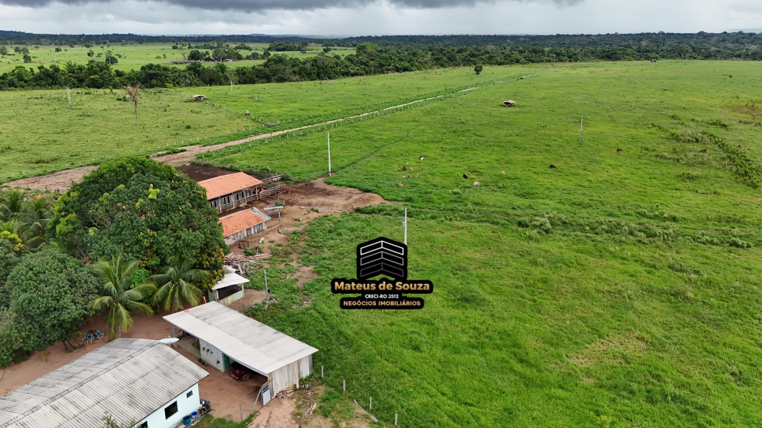 WhatsApp Image 2026-02-21 at 20.52.15 (2)