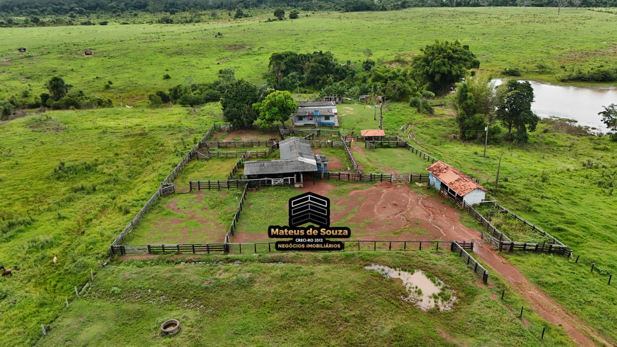 WhatsApp Image 2026-02-21 at 20.52.16 (1)