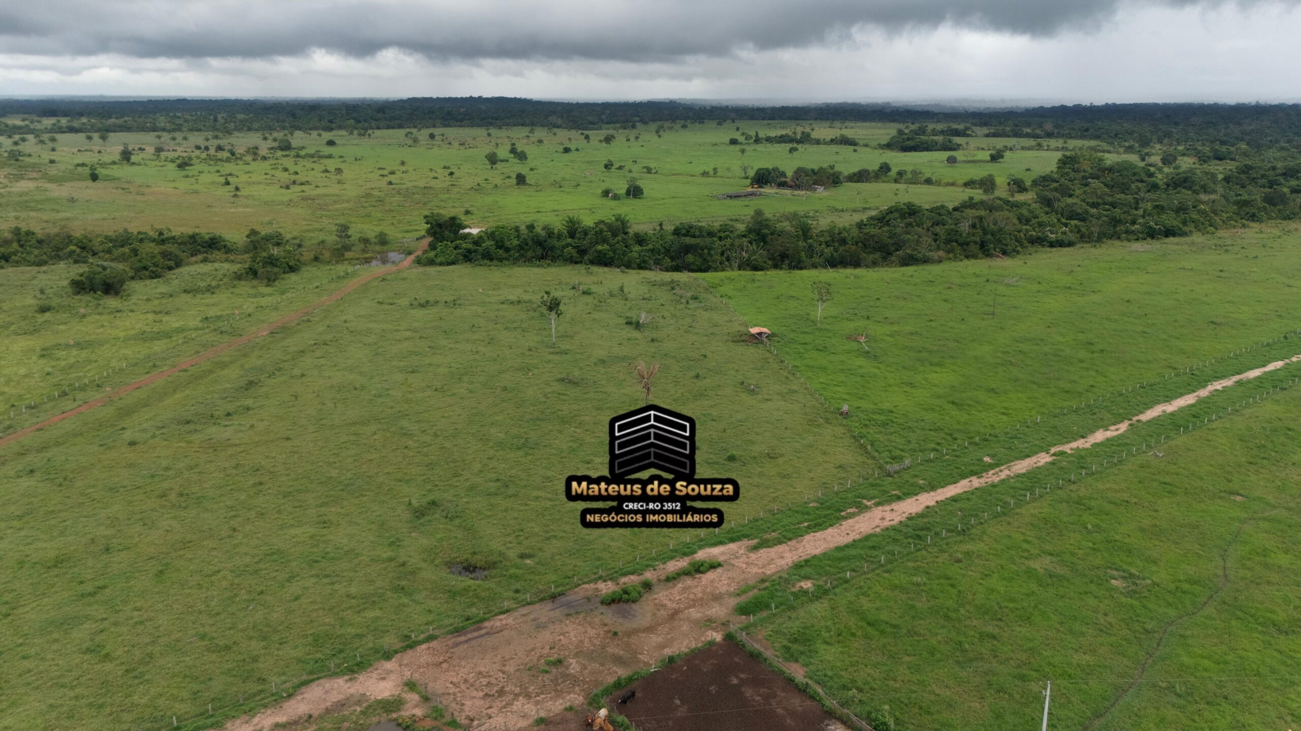 WhatsApp Image 2026-02-21 at 20.52.16 (2)