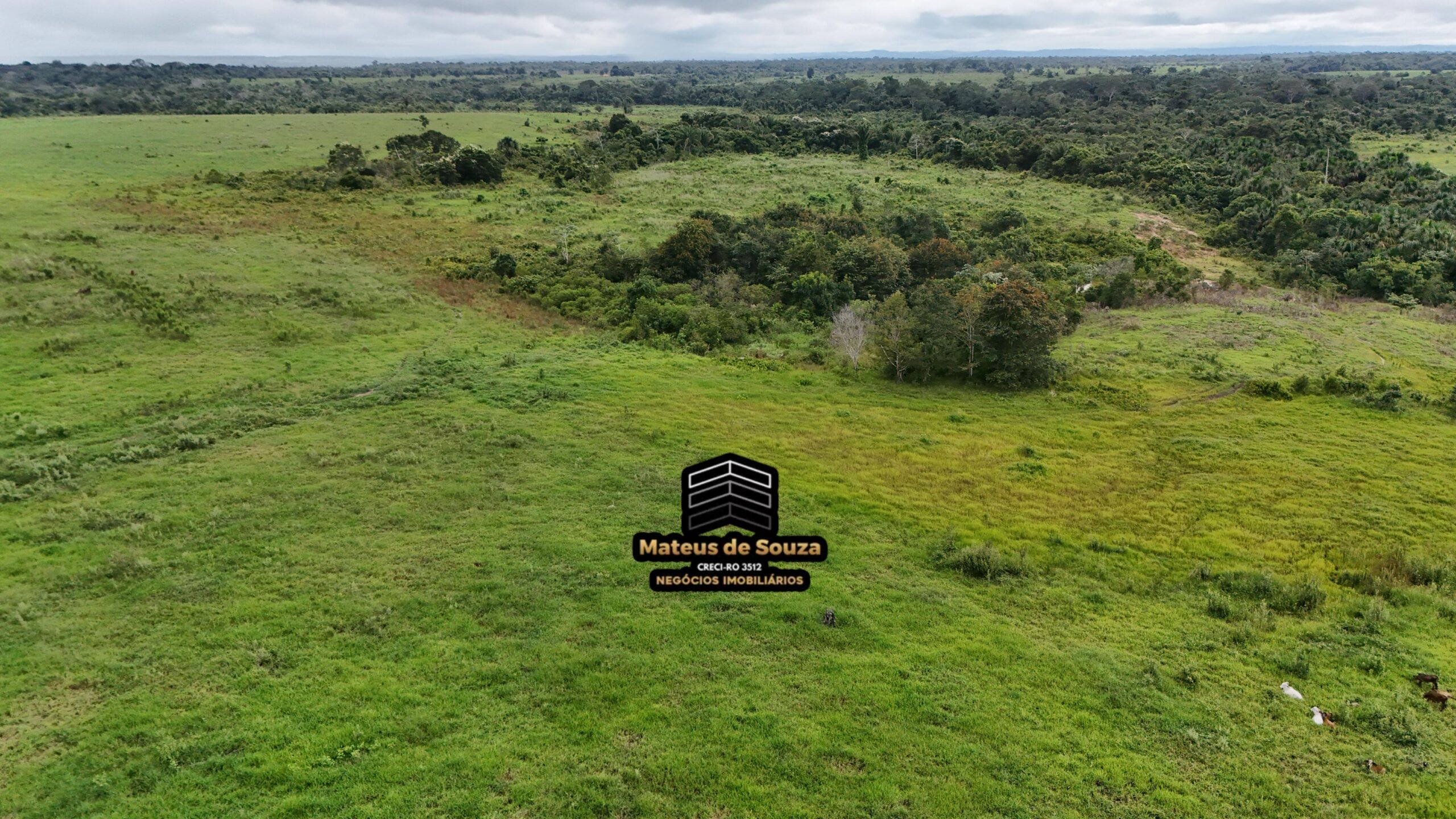 WhatsApp Image 2026-02-21 at 20.52.16